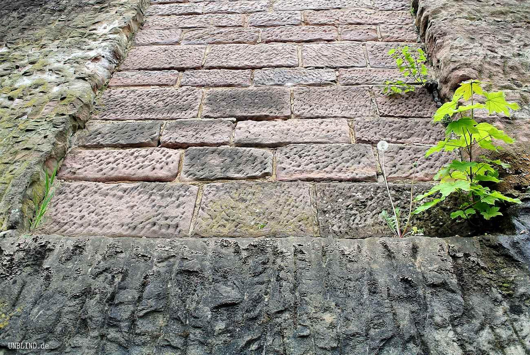 Lebensknstler 8731117178 o