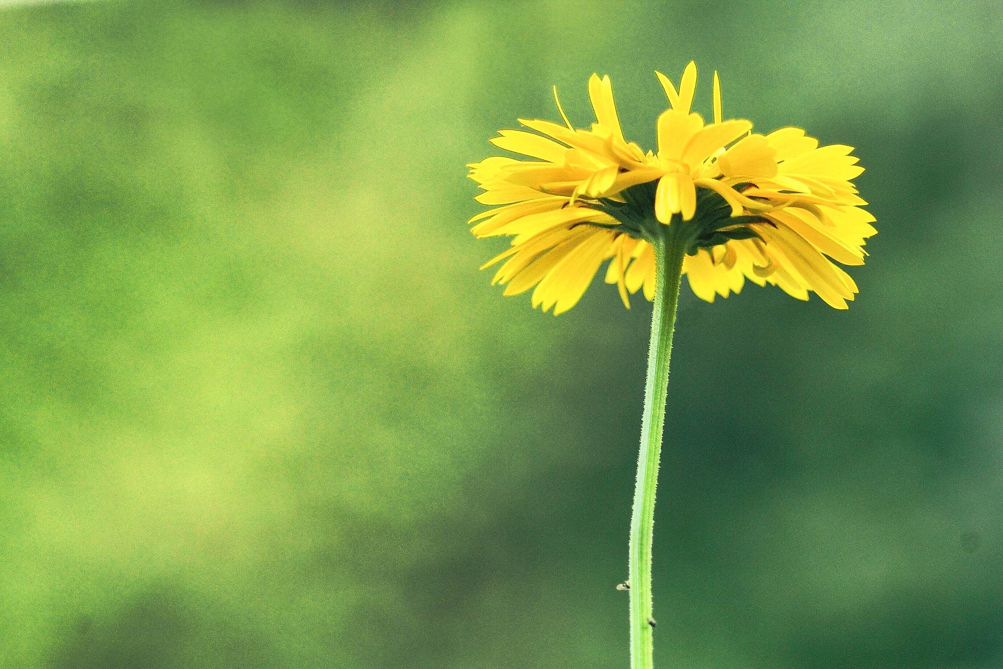 M2402285 2 51536892929 o