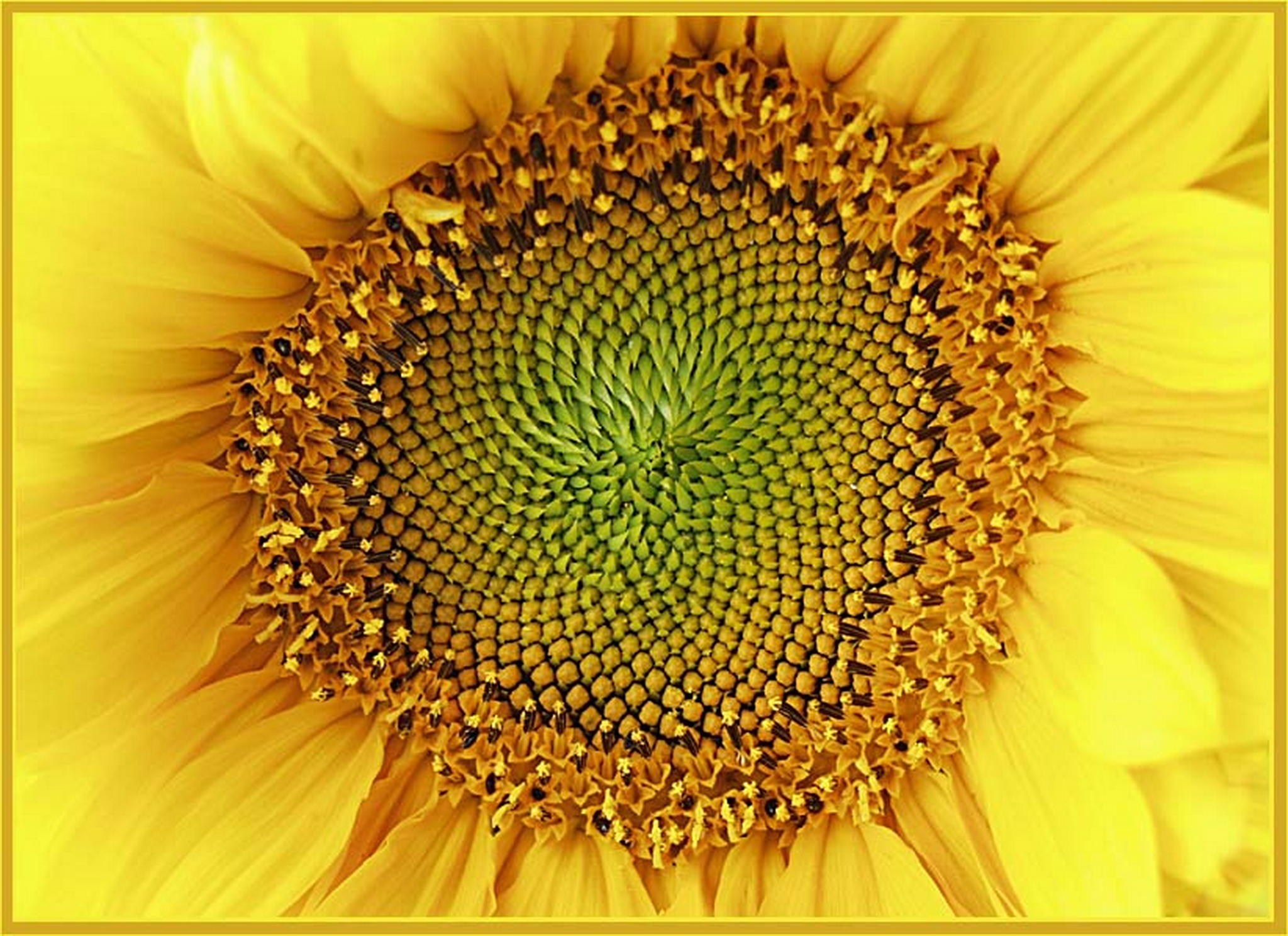 Passend zum wetter 6013684560 o