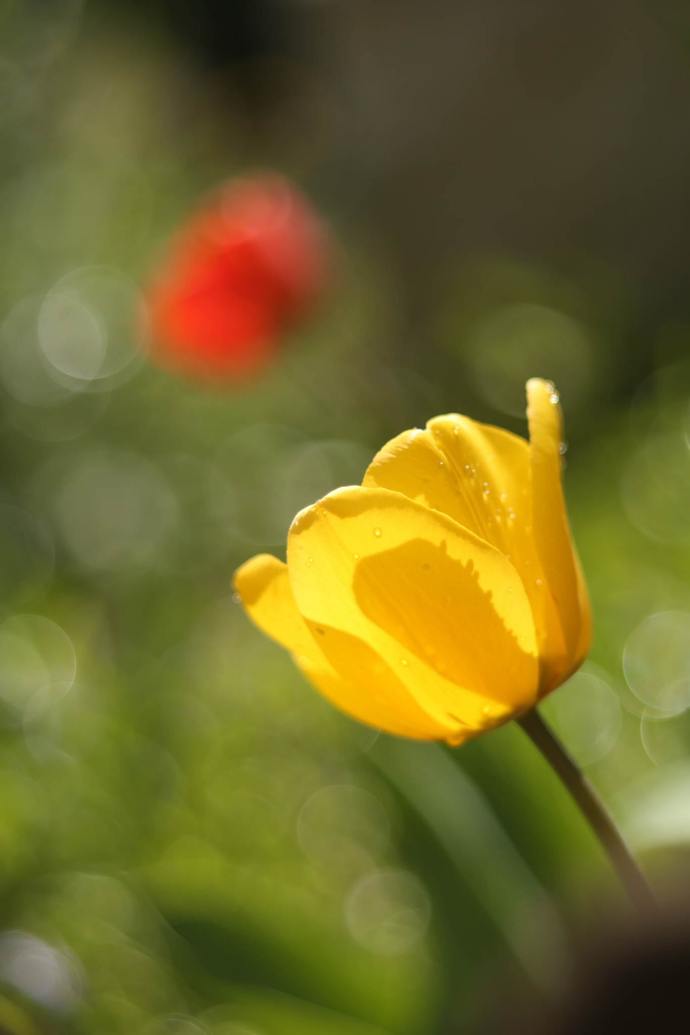 Unb 0460 13765326083 o