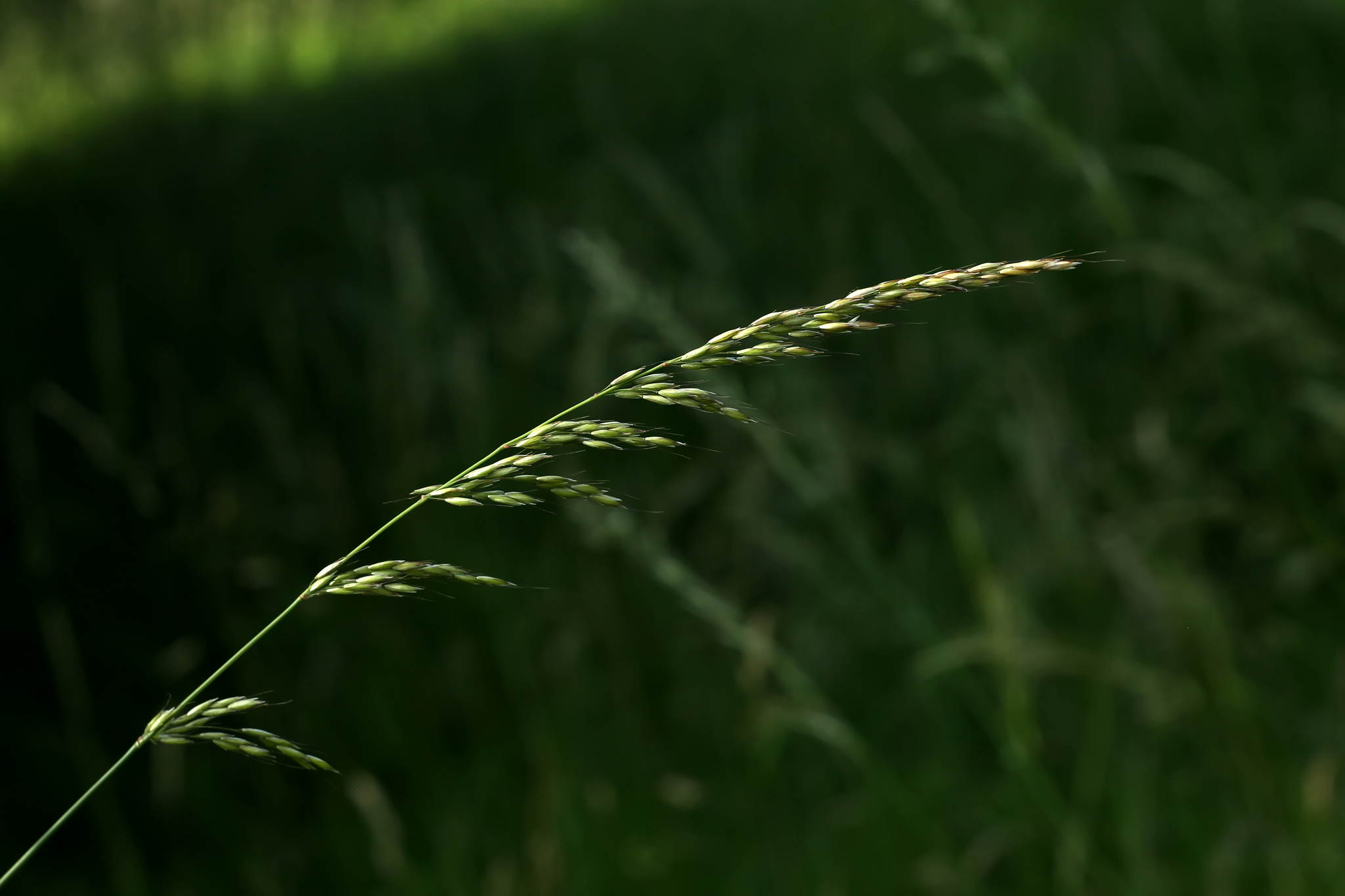 Ur4a1130 18749492416 o