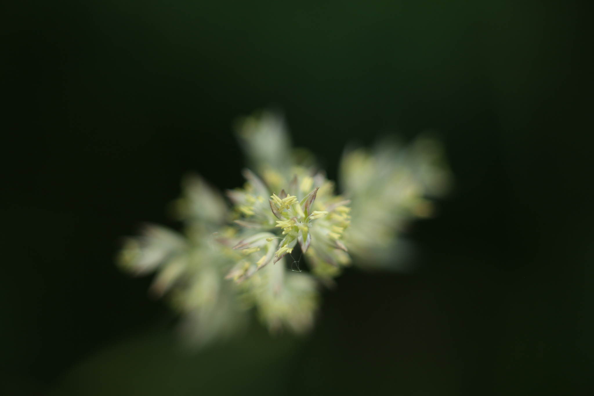 Ur4a1144 18749511586 o