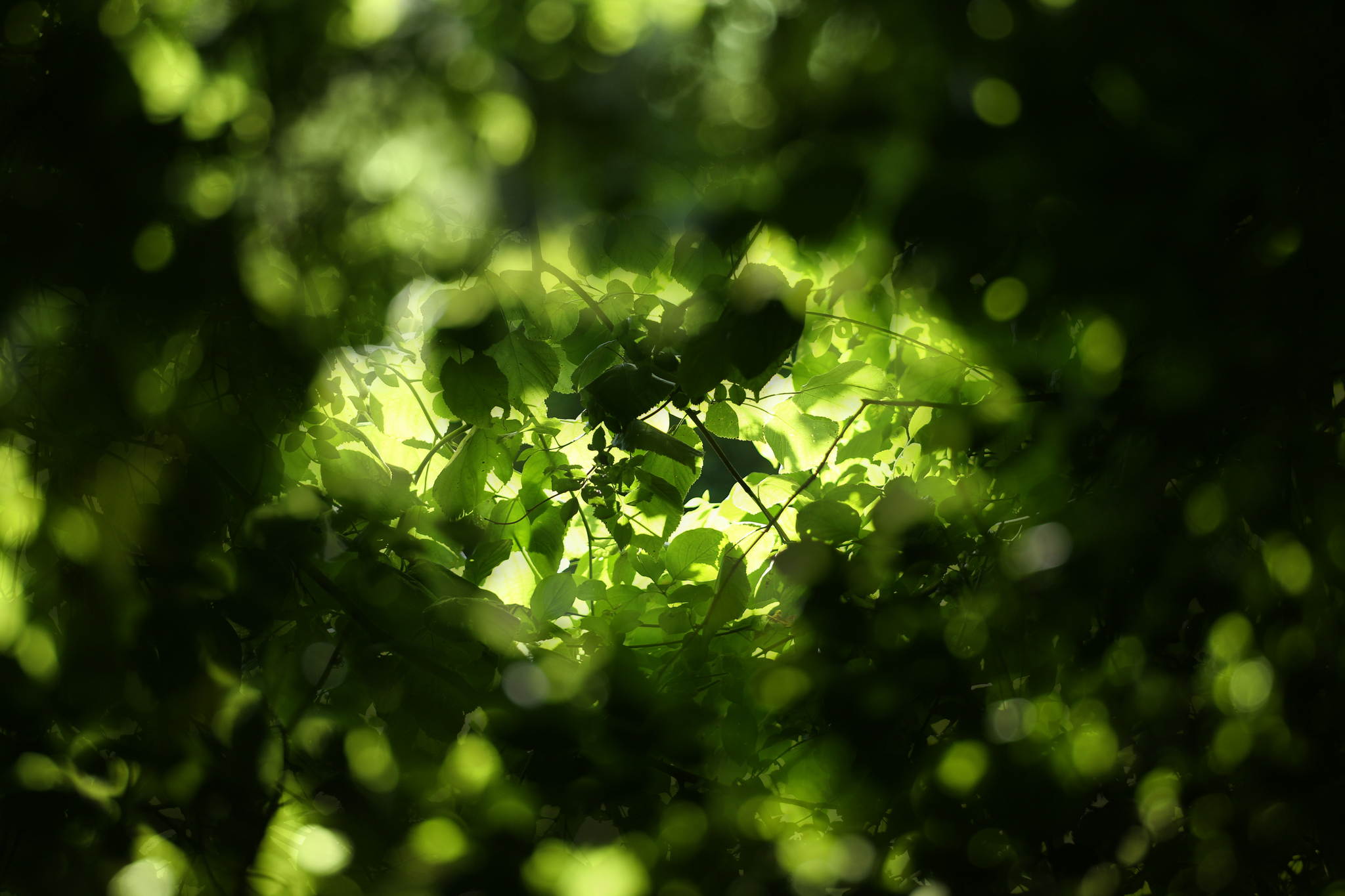 Ur4a1200a 18153213454 o