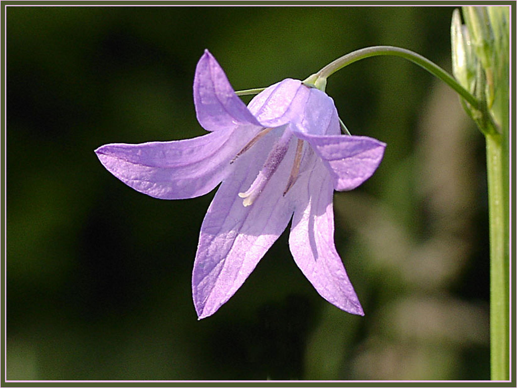 Wen sie wohl ruft 6013684172 o