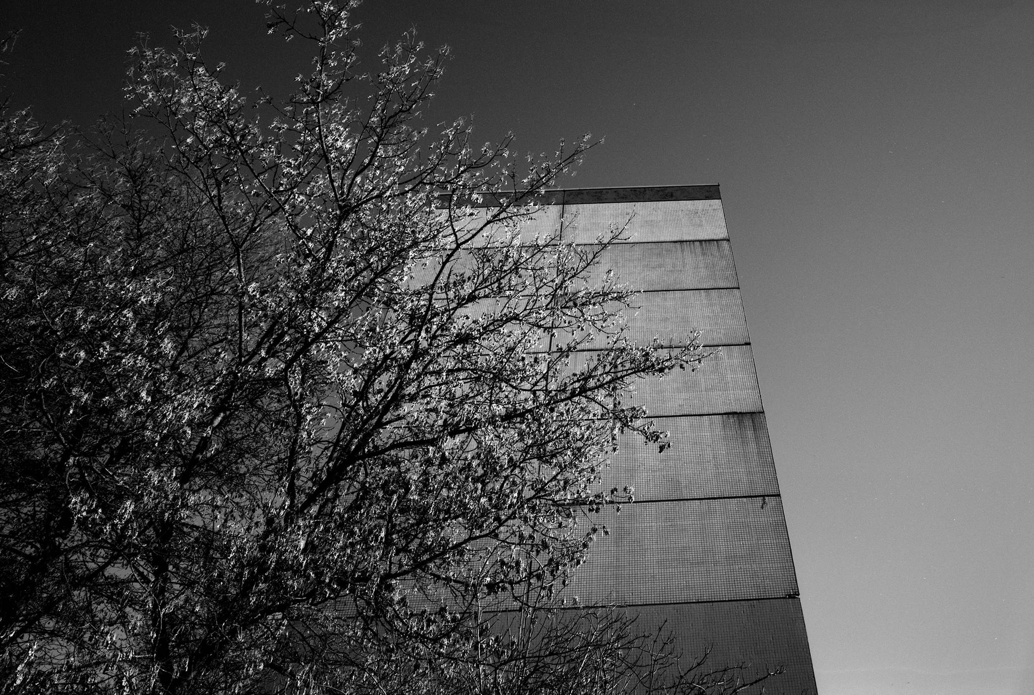 2020 01 16 0019 49396088072 o