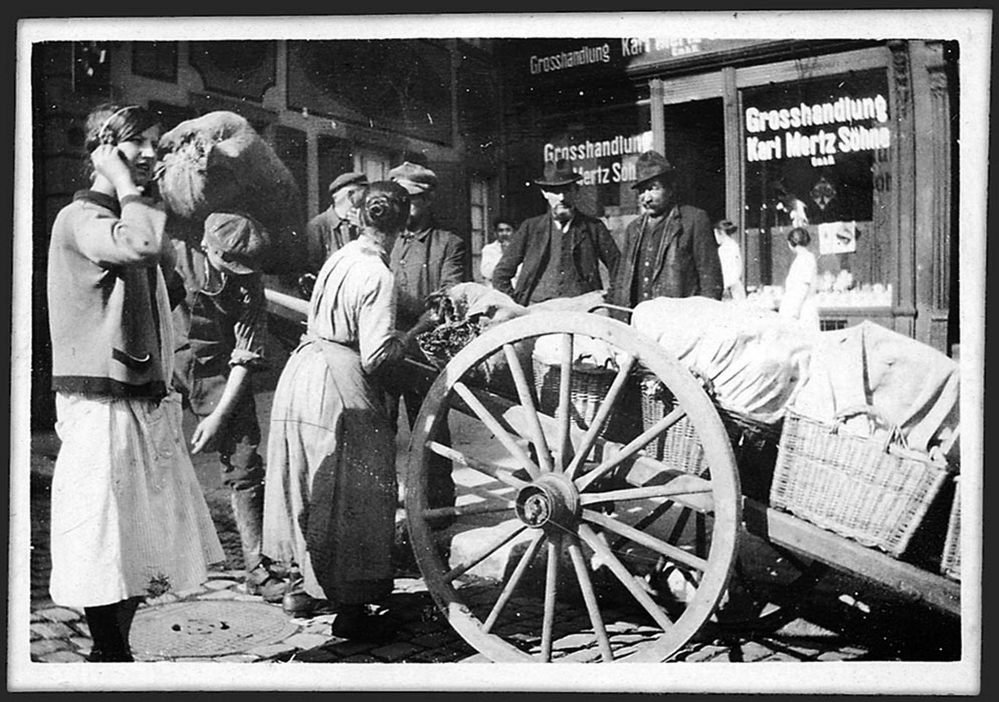 Sellemols 02 6011019778 o