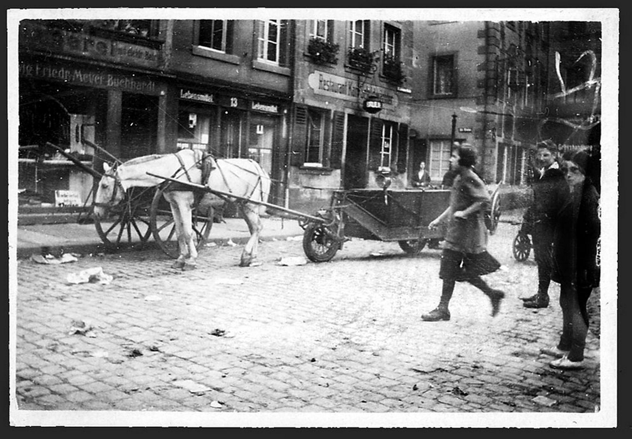 Sellemols 03 6010471465 o