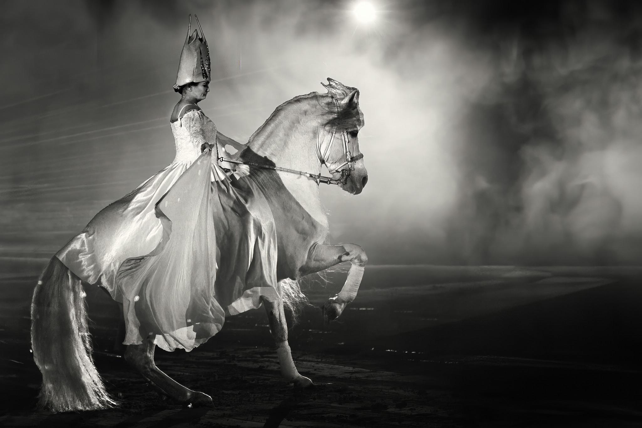 02 pegasus 022a 53071678875 o