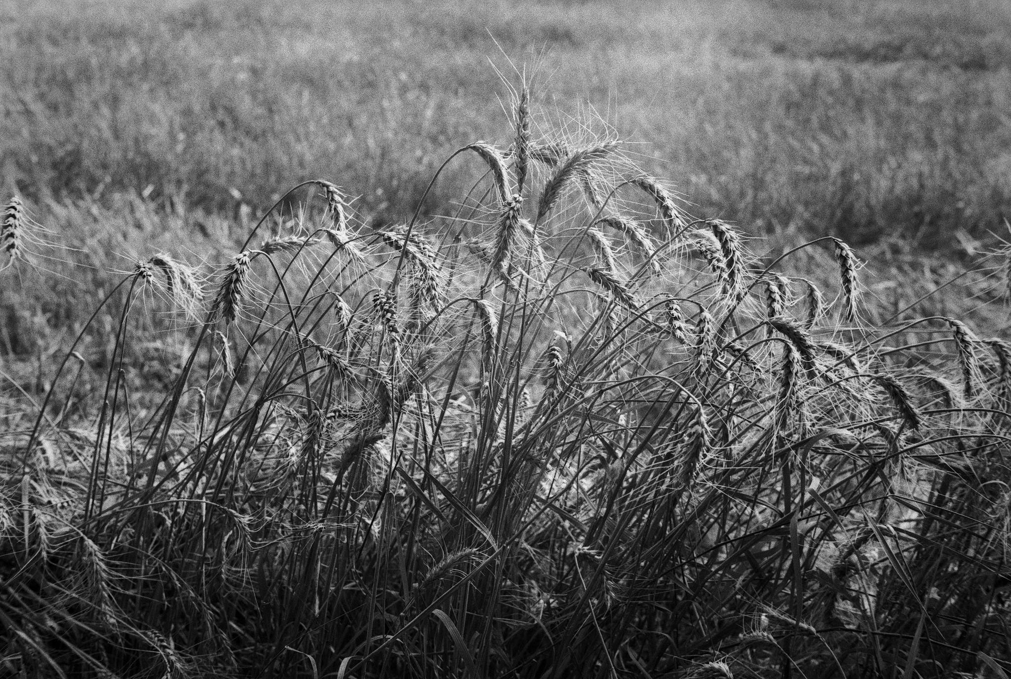 2018 07 27 cle canon 50 14 24 42081637410 o