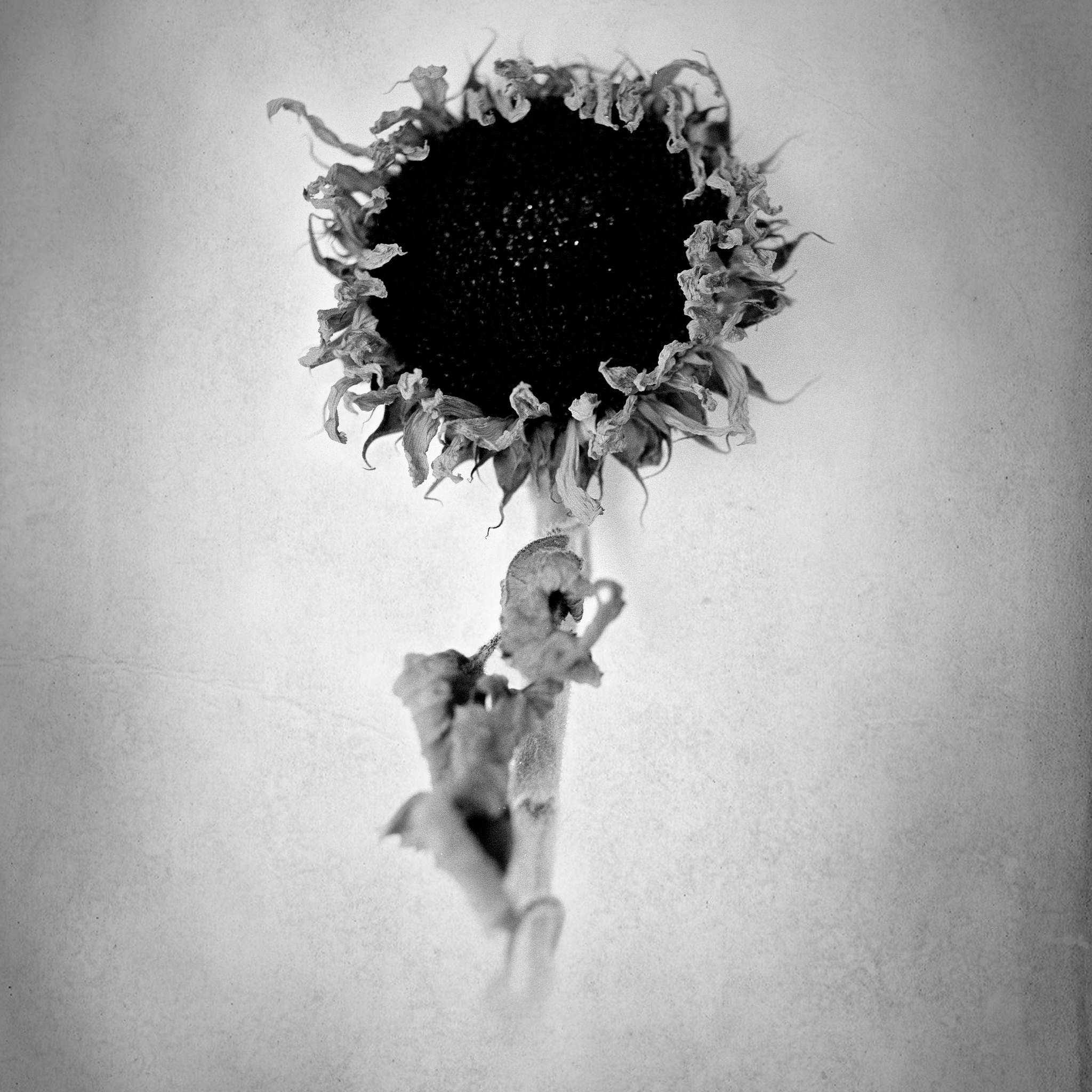 2018 08 26 0006 44272726431 o