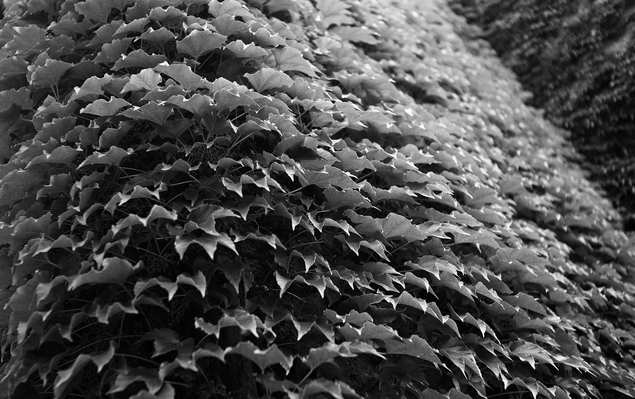 2018 08 27  1a 42521890830 o