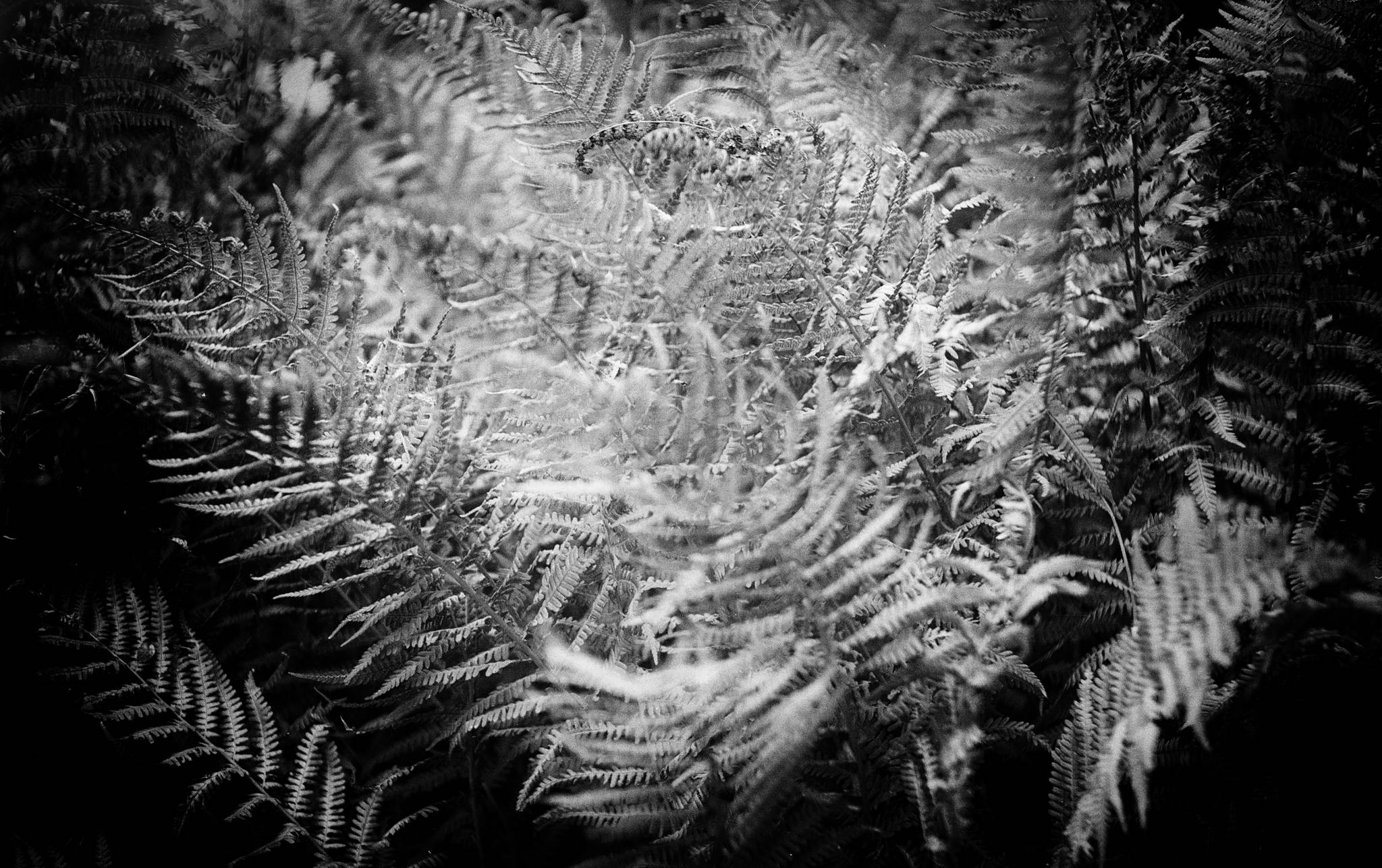 2018 08 27  3a 43424556915 o