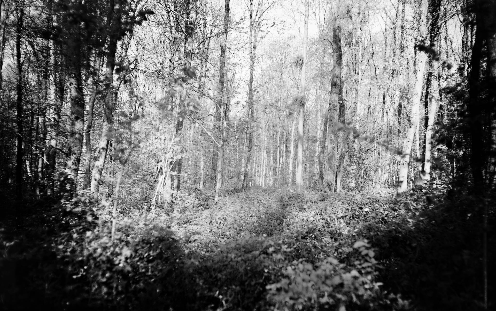 2018 08 27  5a 42521885790 o