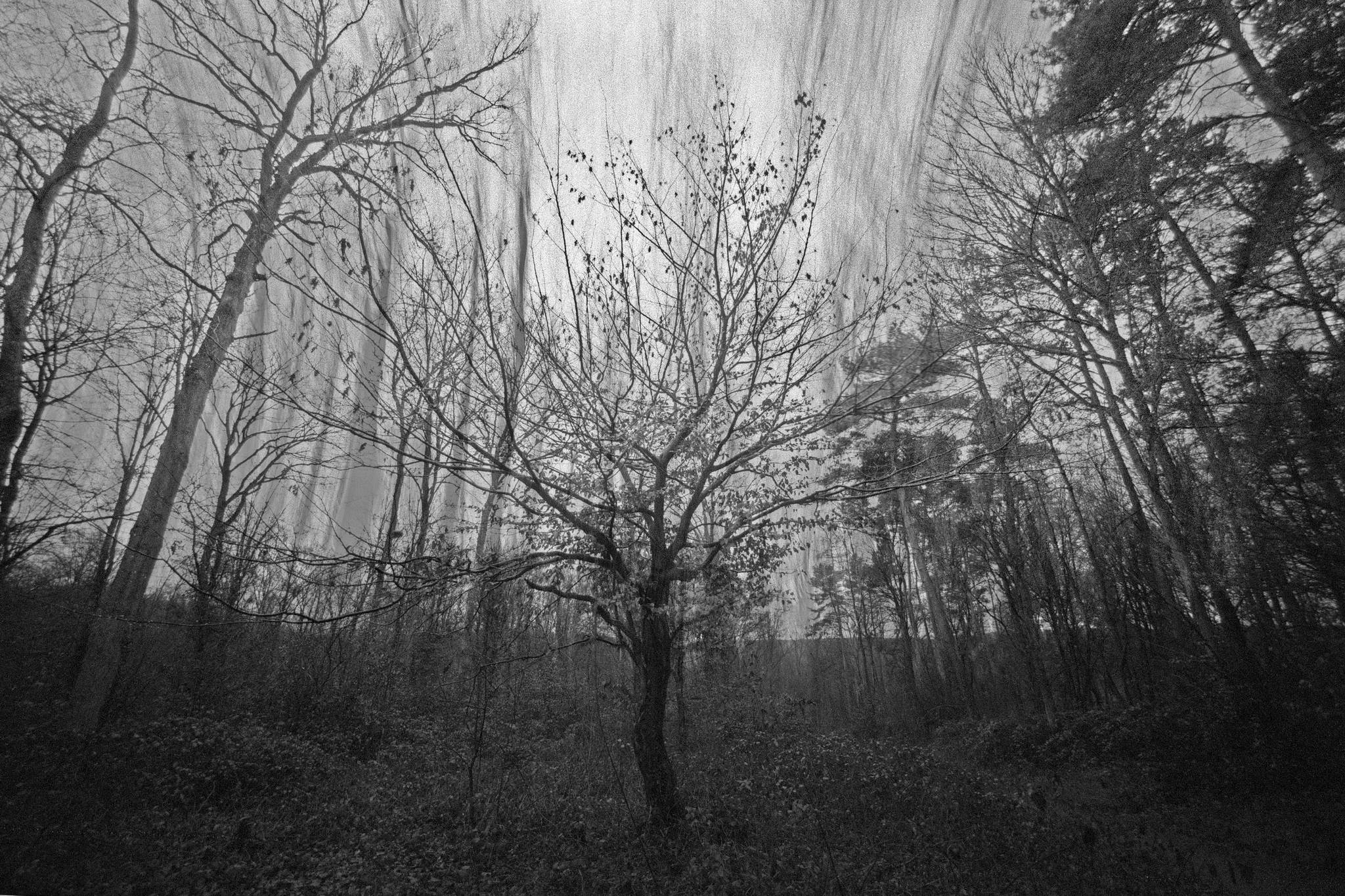 2018 12 31 cle apx100 fg10  13a 46546735231 o