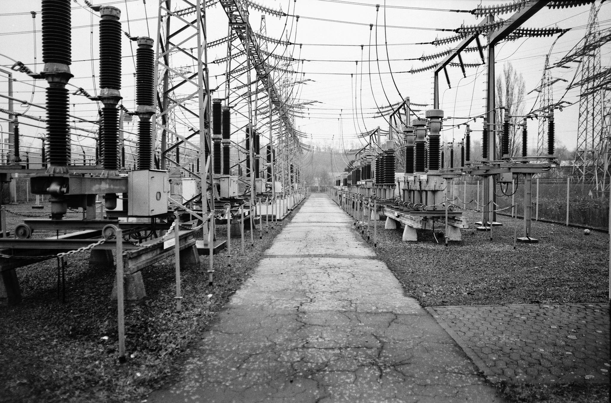 2019 03 15 leica m6 7artisans 28 agfa pan 25  12 46665229604 o