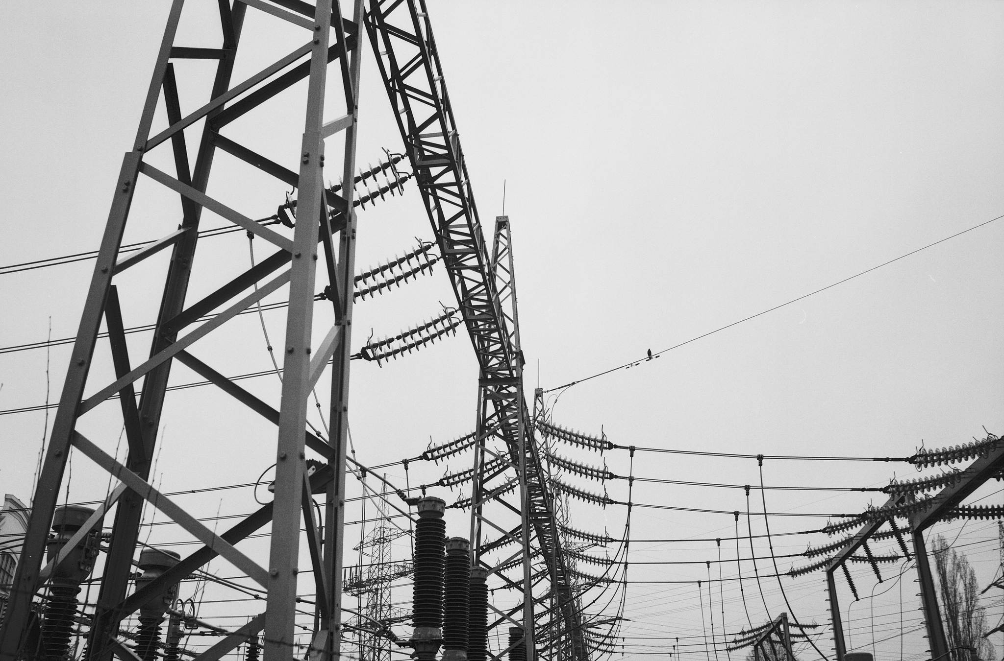 2019 03 15 leica m6 7artisans 28 agfa pan 25  14 46665231154 o