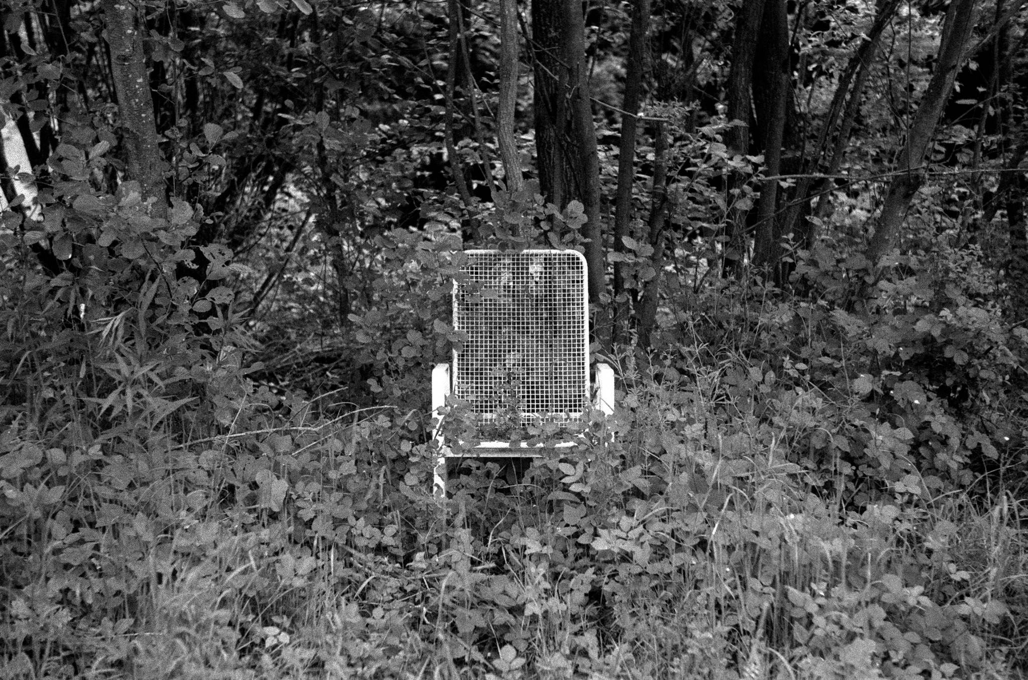 2019 05 31 0020 47971362537 o