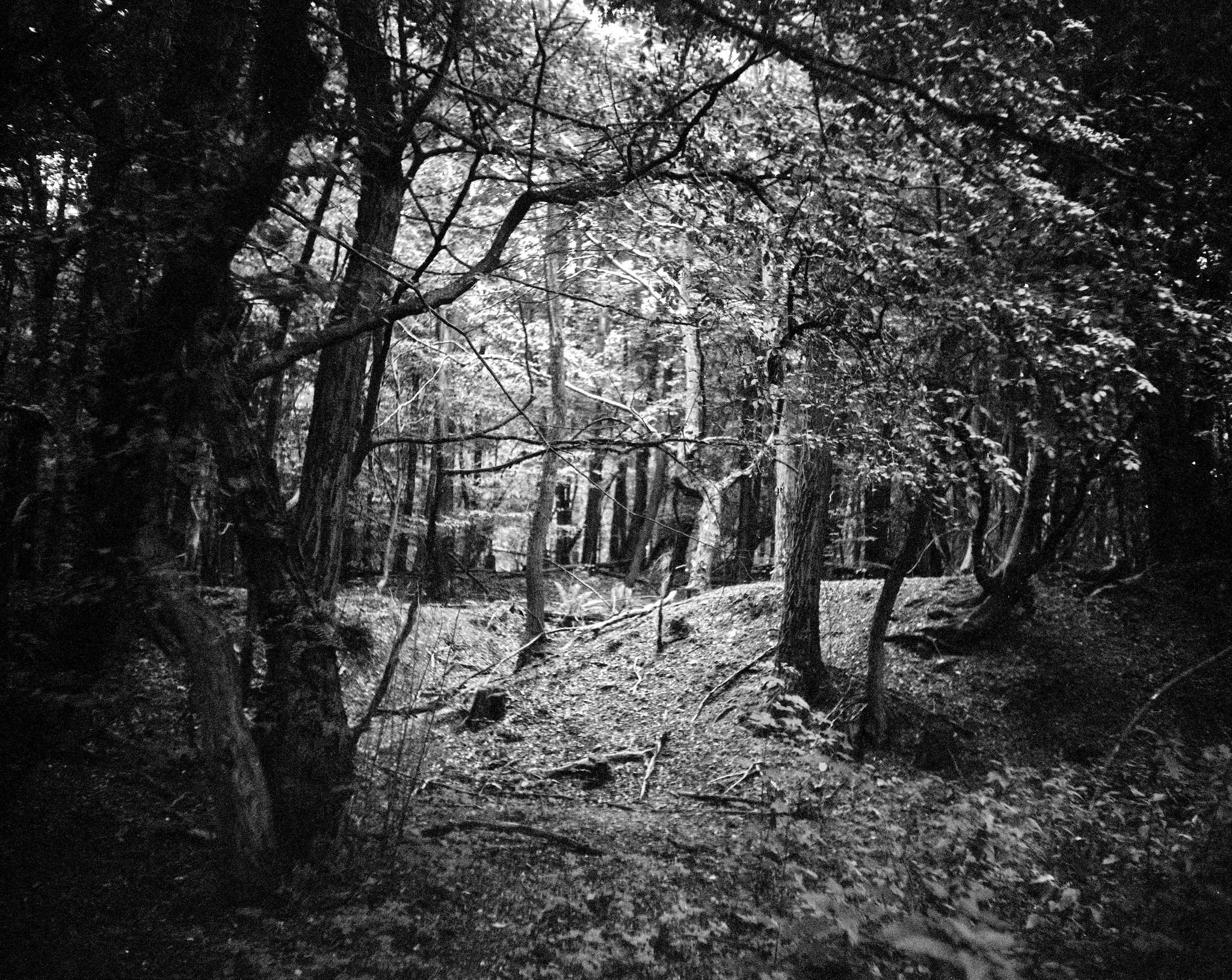 2019 08 11 0004 pololyt 8035 pentax 67 48578214387 o