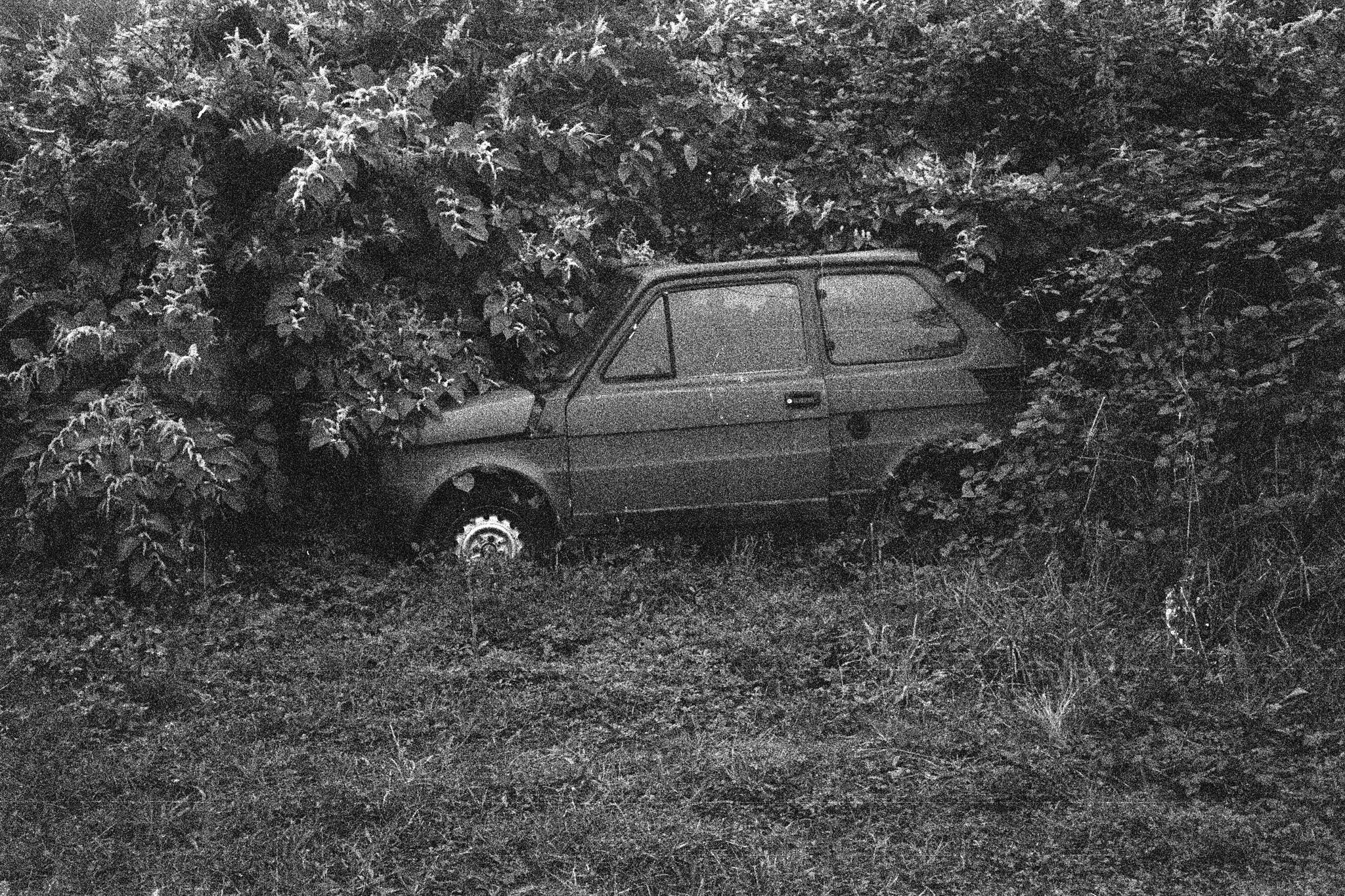 2024 09 10 r35se hp5 1985 15 53989355783 o