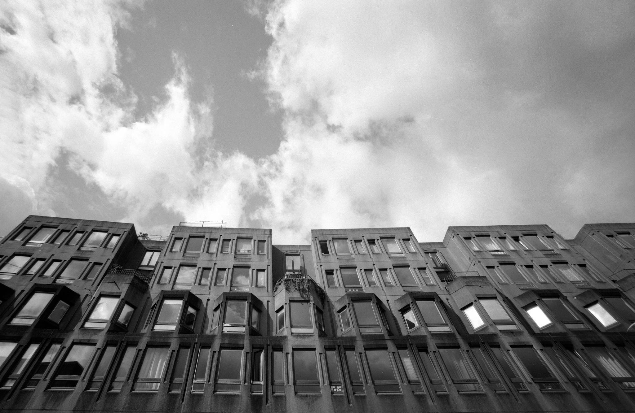 Bessa l agfa pan 25   03 48026371557 o