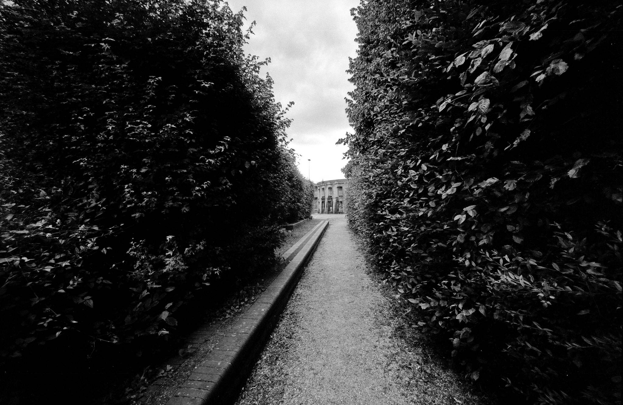 Bessa l agfa pan 25   06 48026308458 o