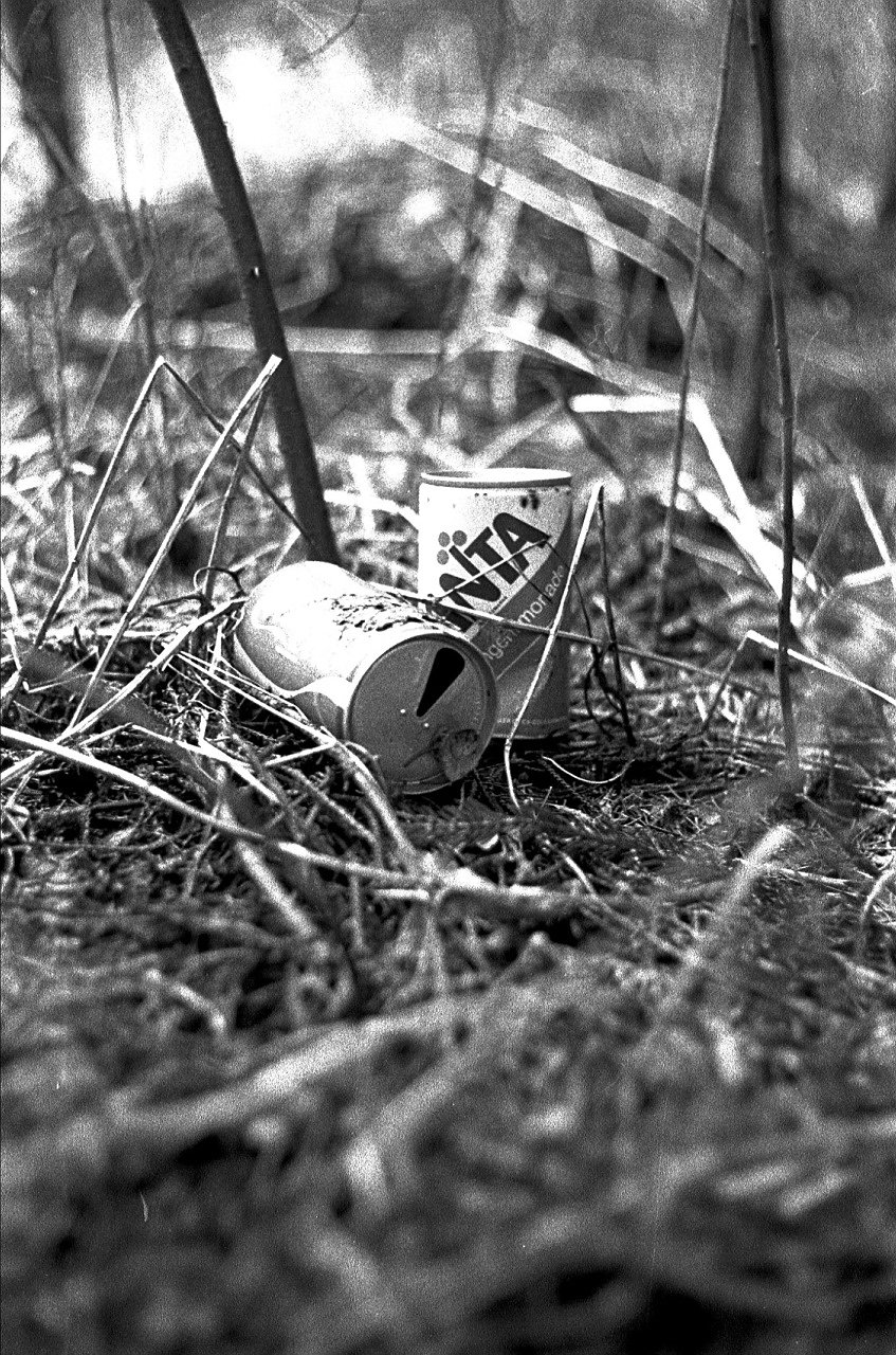 Cola dose im wald 8163955790 o