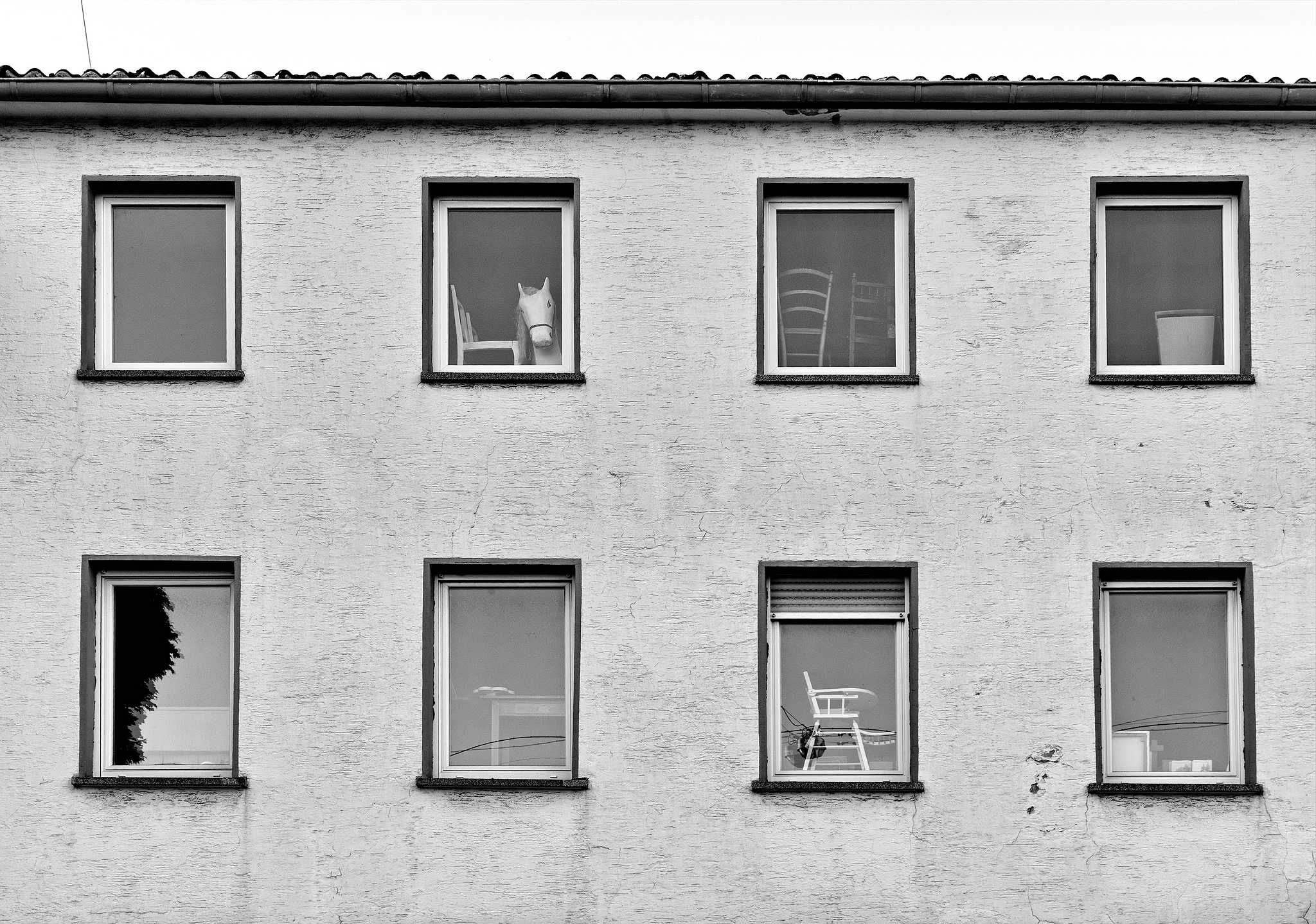 Das pferd corona 50172486262 o