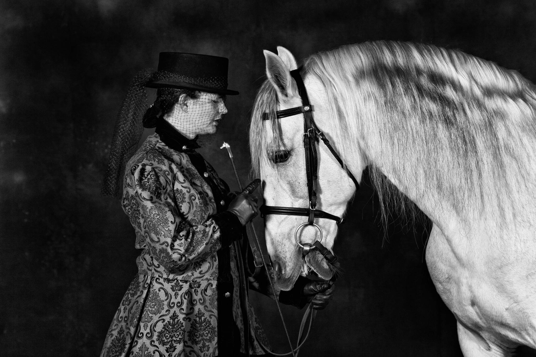 Frau grfin und ihr pferdchend 9262255669 o