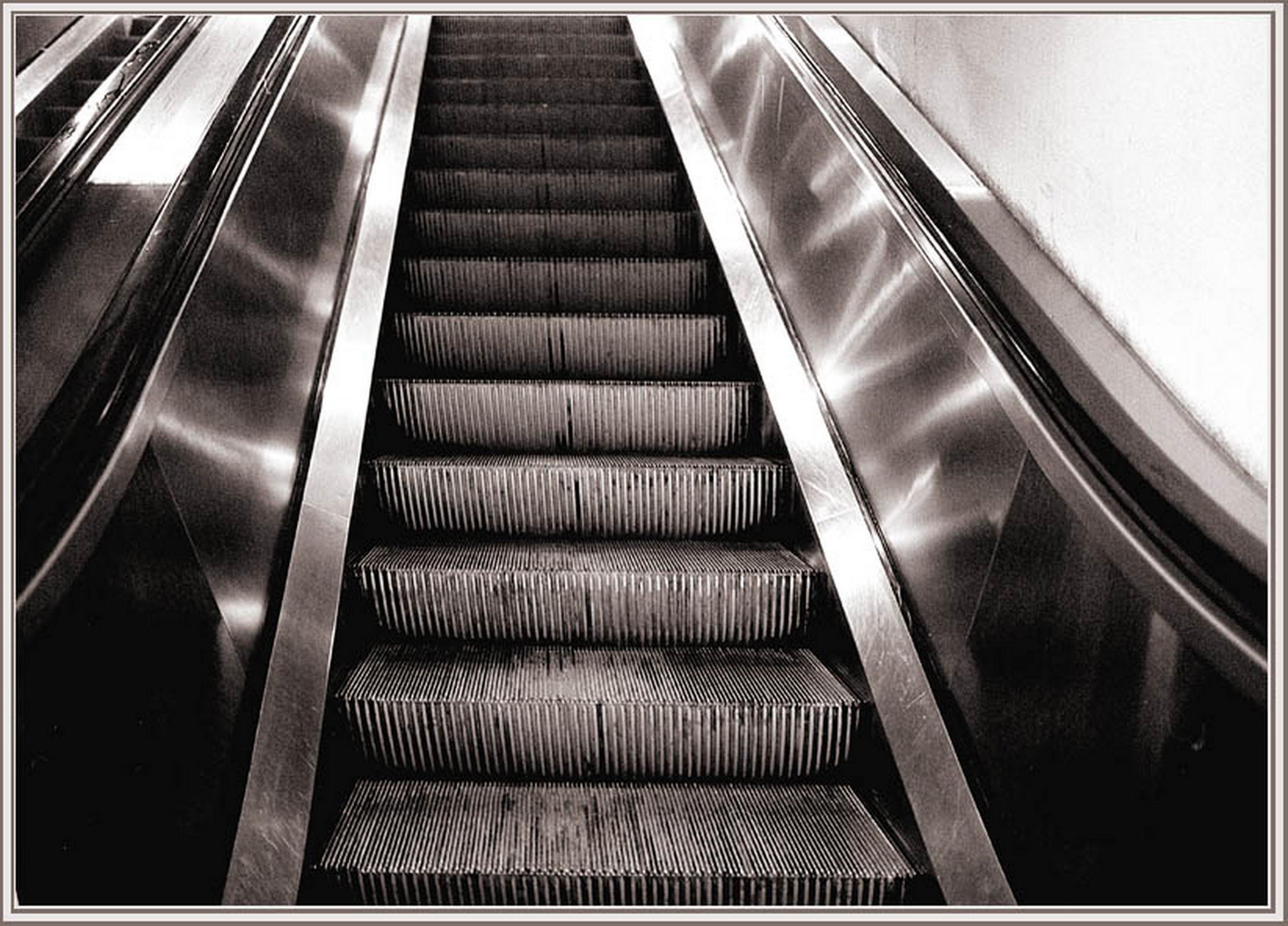 Frischgewienert 6013144997 o