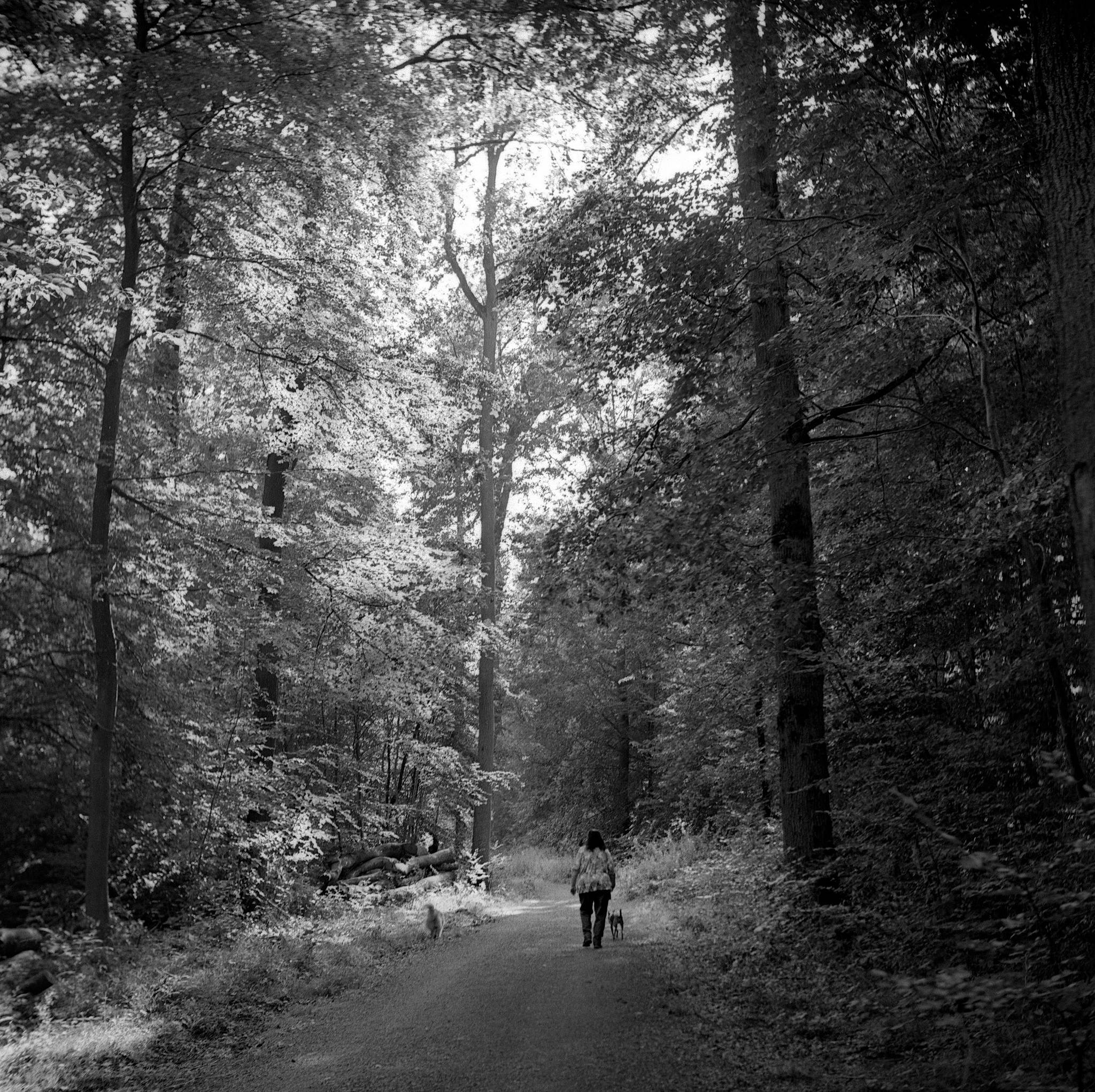 Greatwall trix400 800 caffenol 2019 08 25 0003 48618721342 o