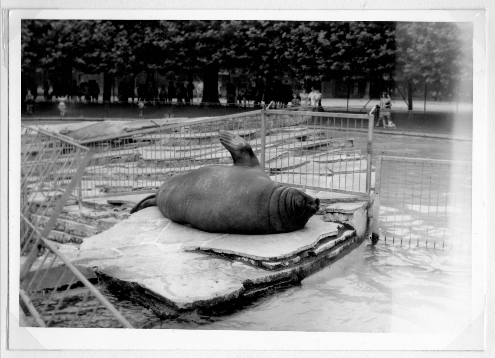 Kinax05 8163551458 o