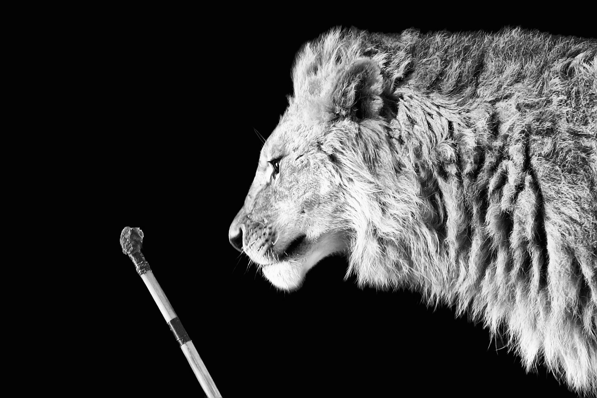 Konzentriert 9257675504 o