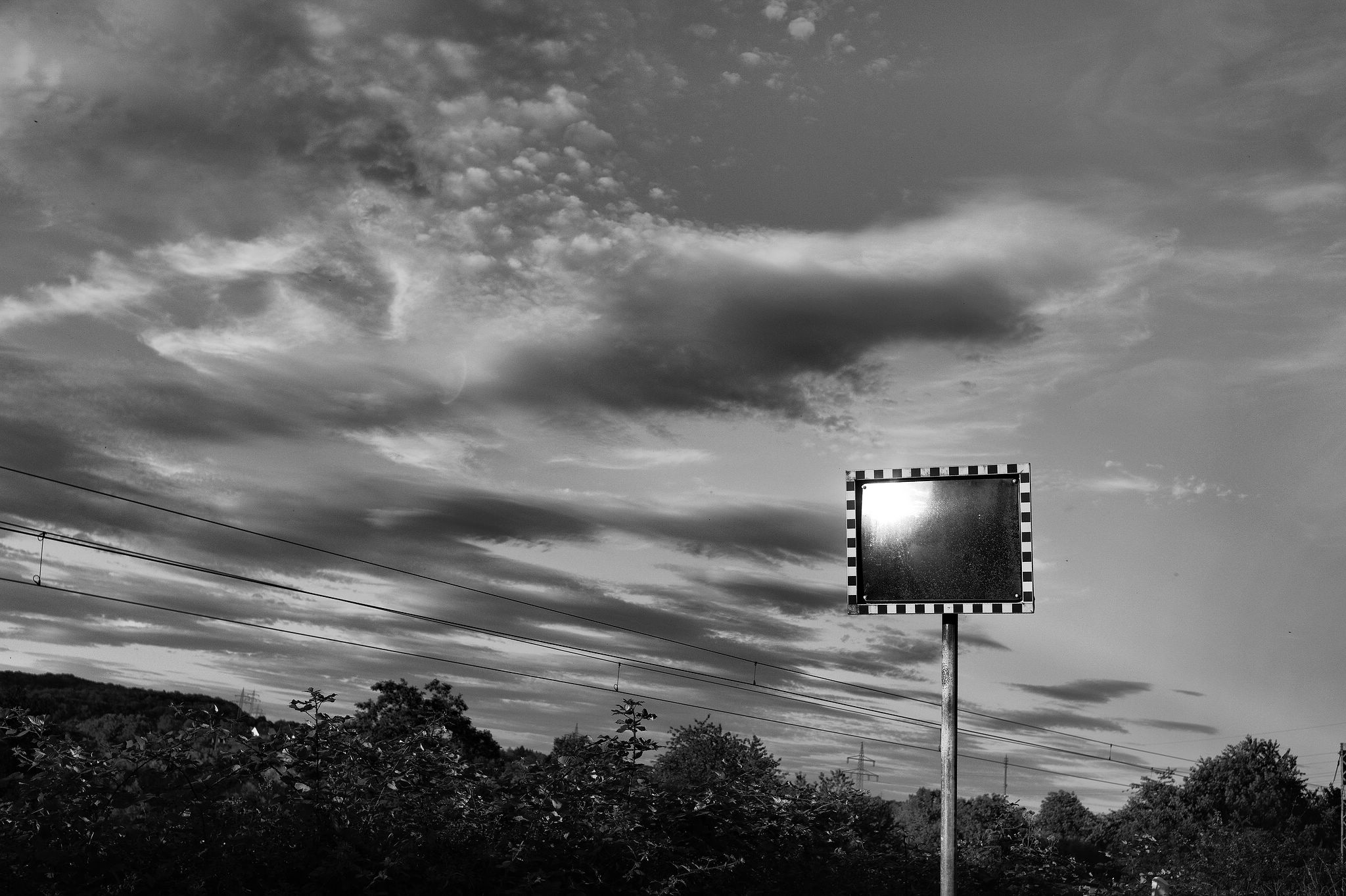 L1000799 50094451448 o