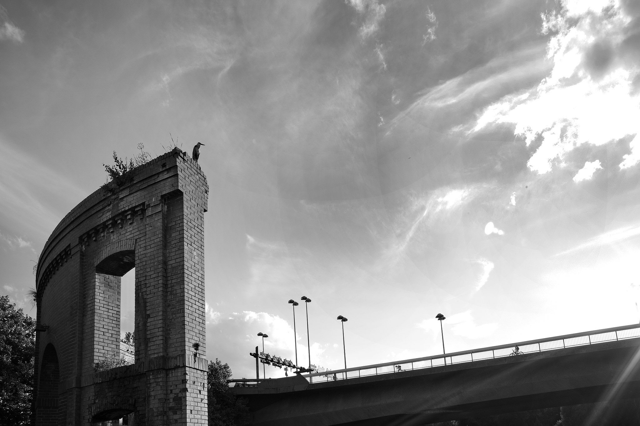 L1001185 50172467227 o