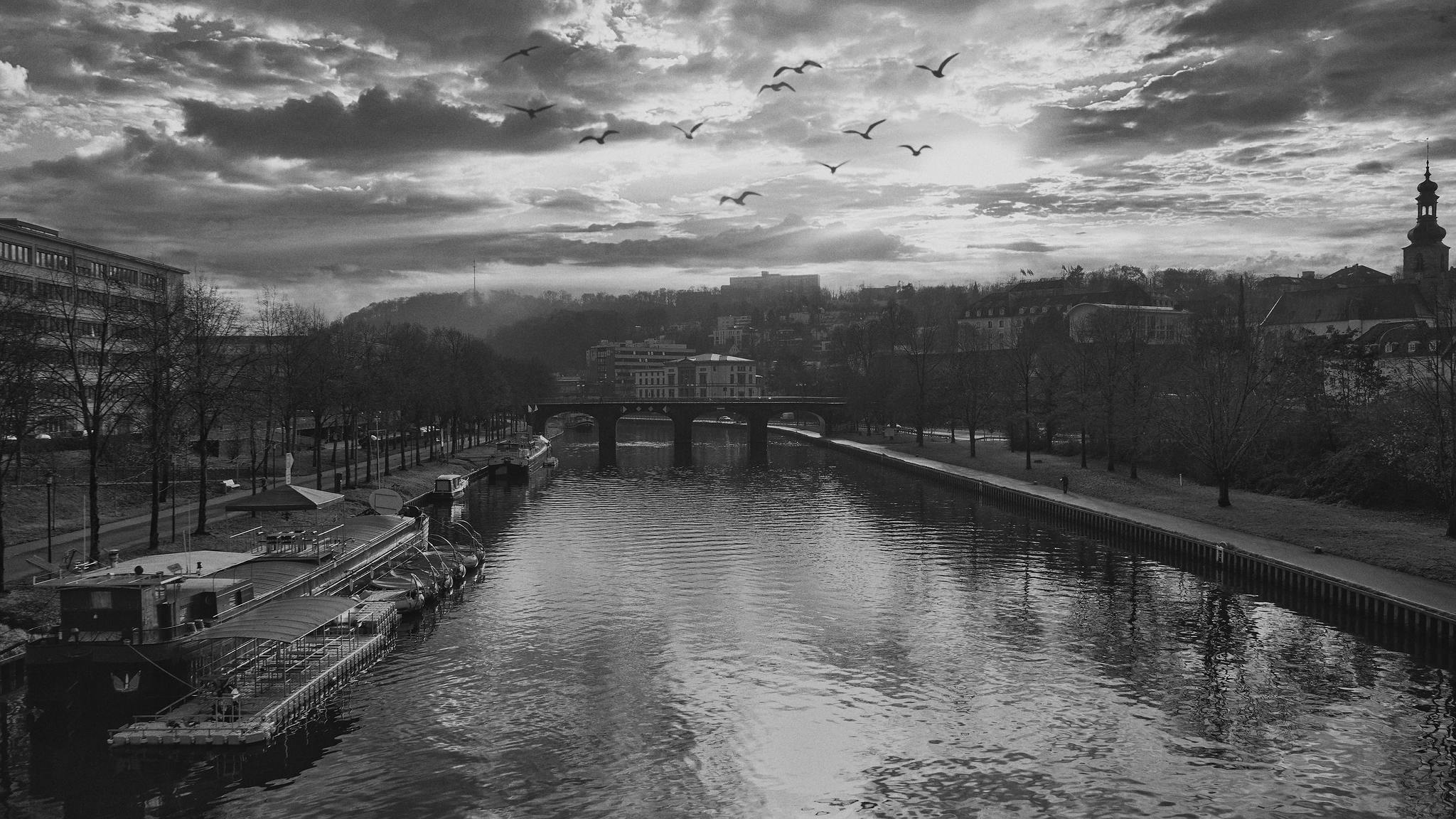 Lockdown 50727827952 o