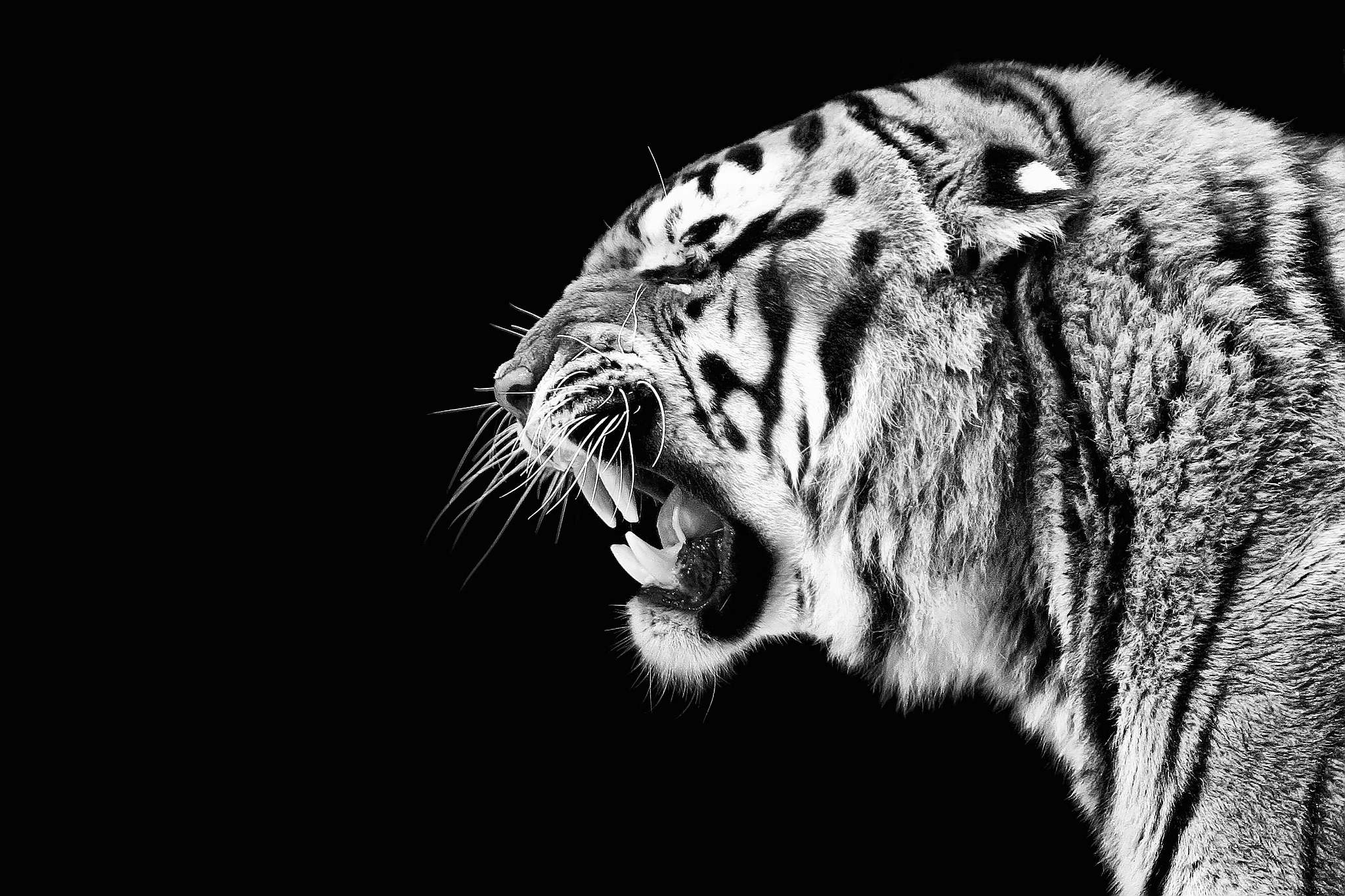 Schlecht gelaunt 9254892649 o