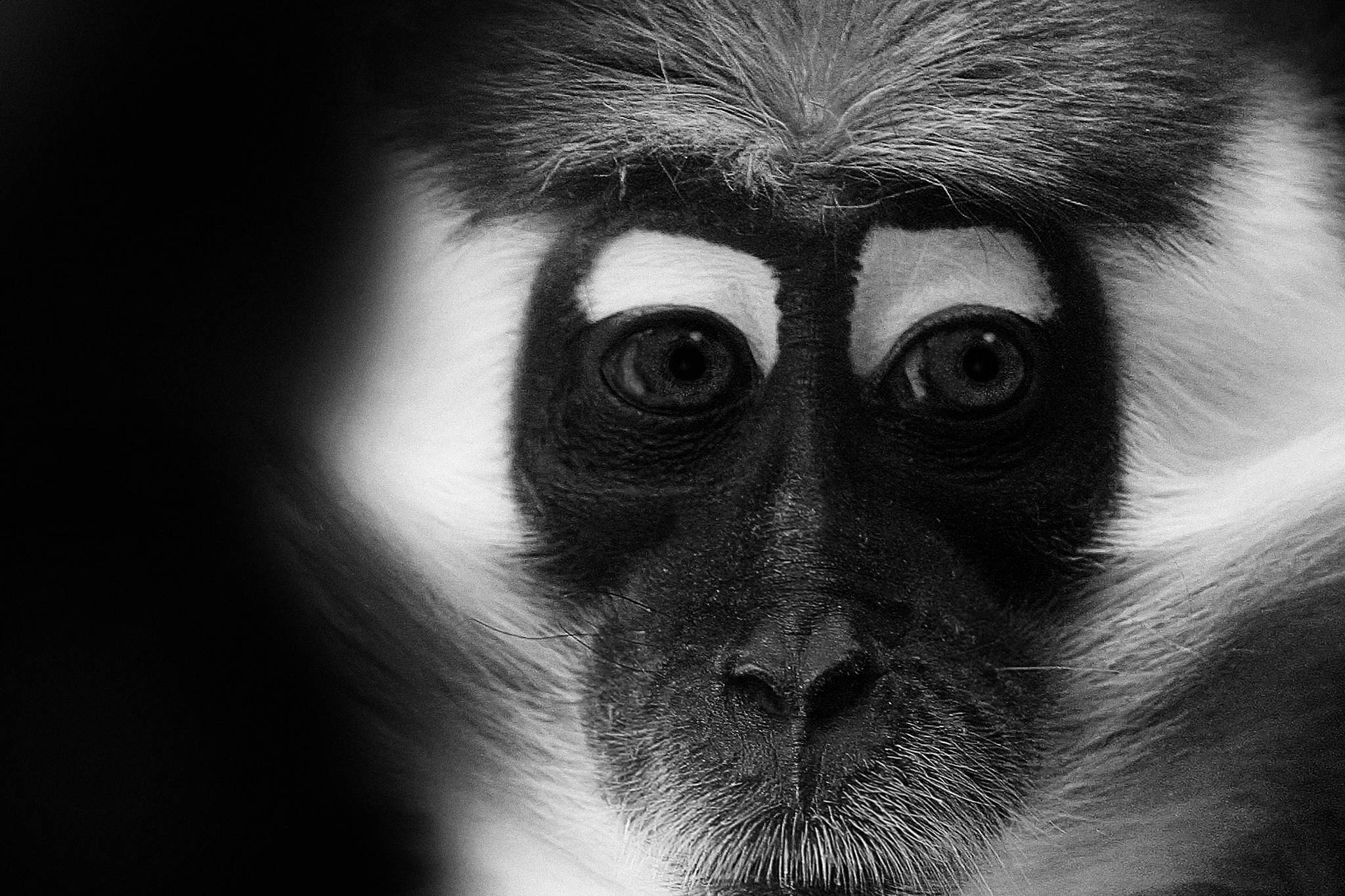 Und jetzt 9254801877 o