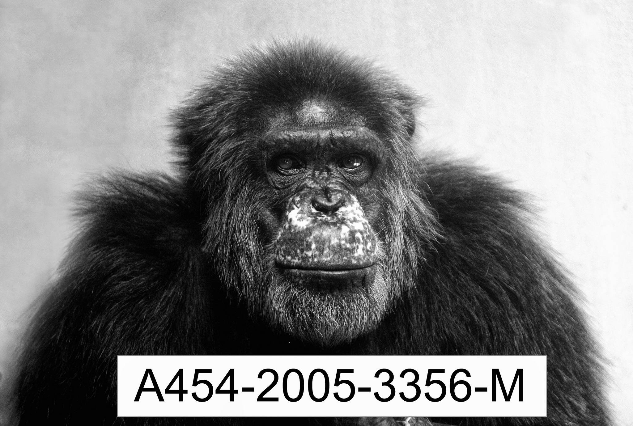 Verbrecher 9376442814 o