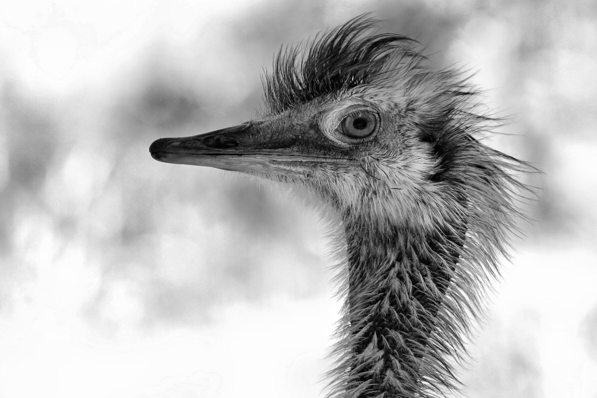 2005 06 26    IMG_ 0089