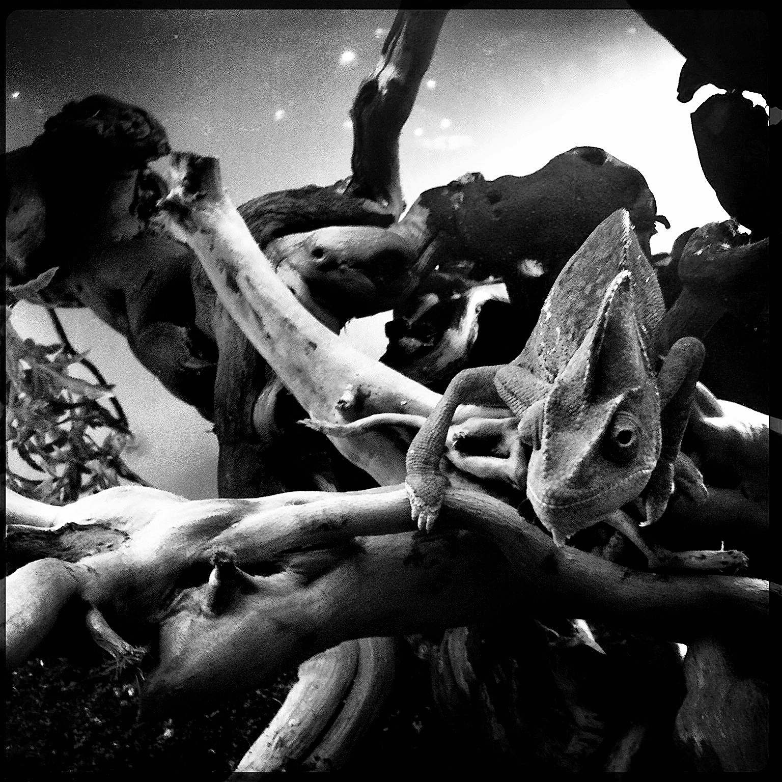 Was guckst du  6487527655 o