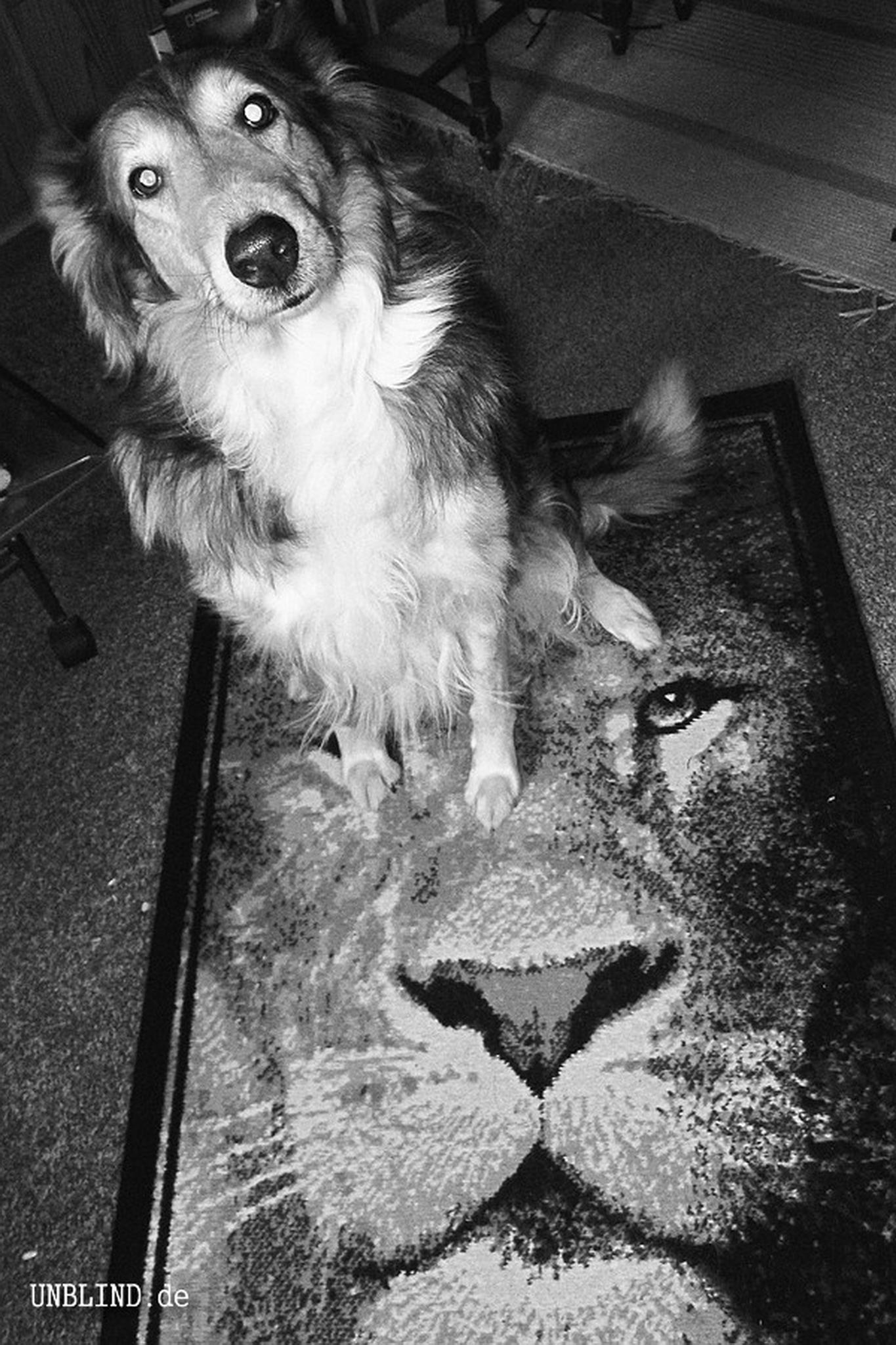 Was guckst du 6120867720 o