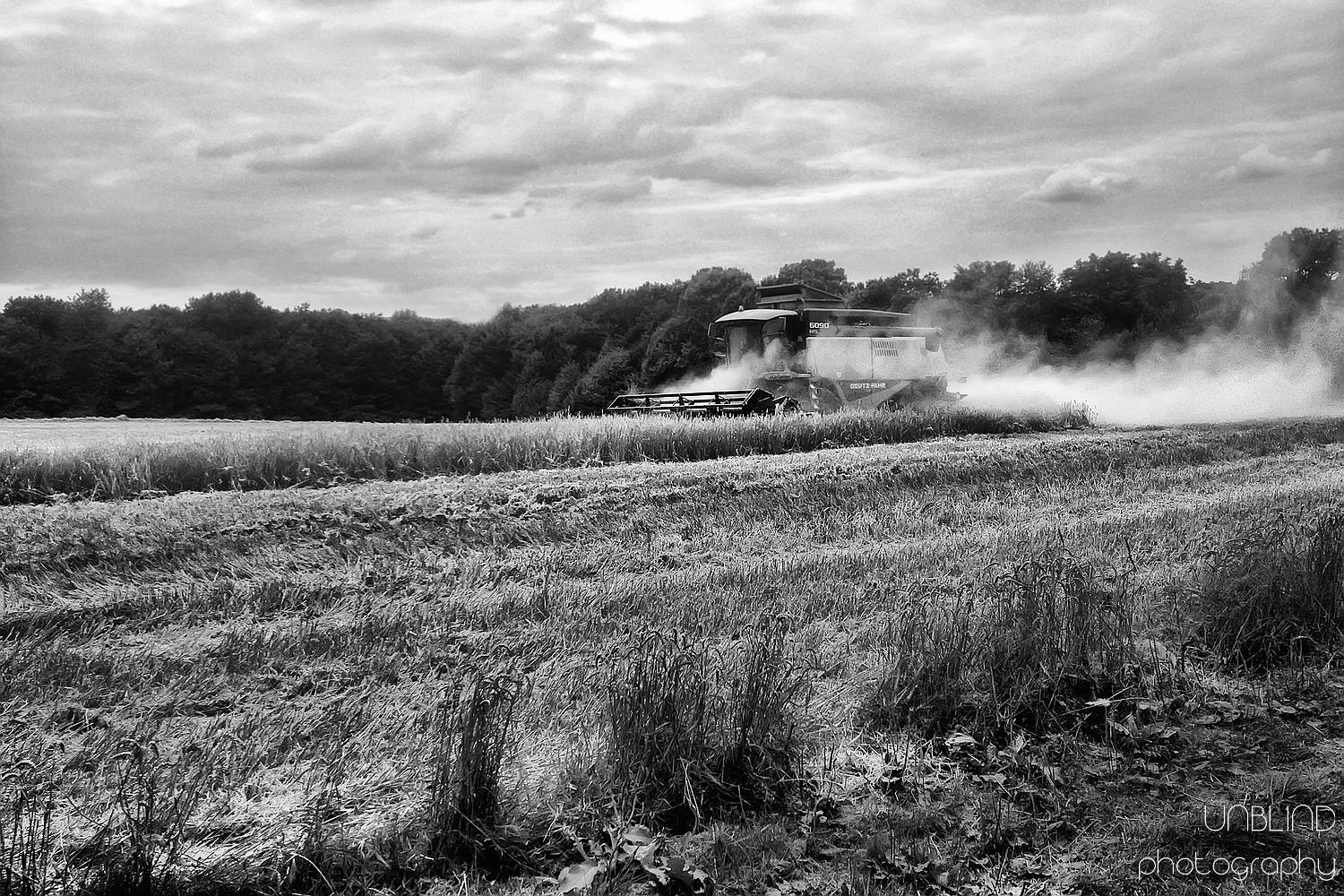 Web img 2319b sw 11414837685 o