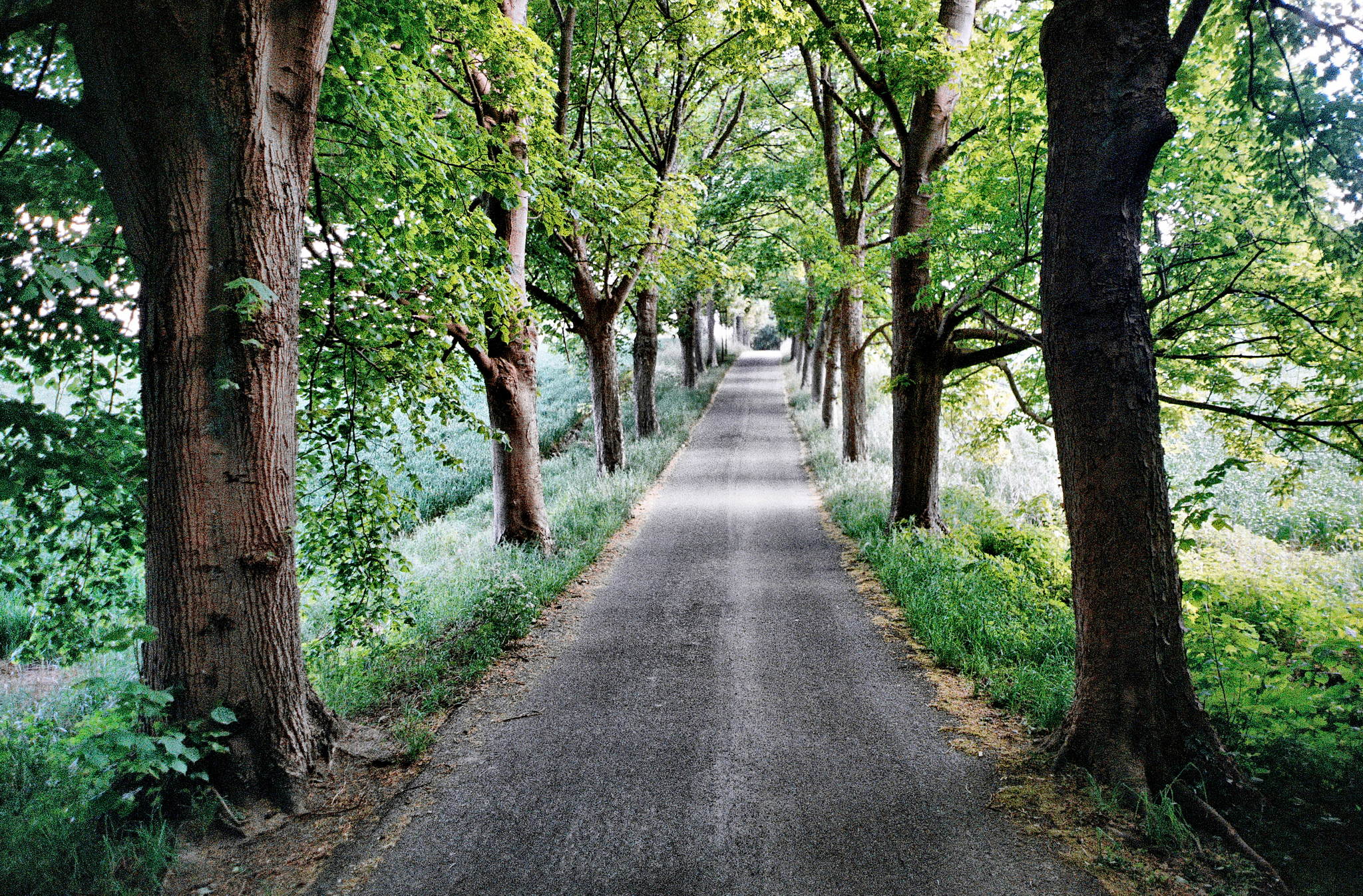 08052018 hexar orion  10a 41137423905 o