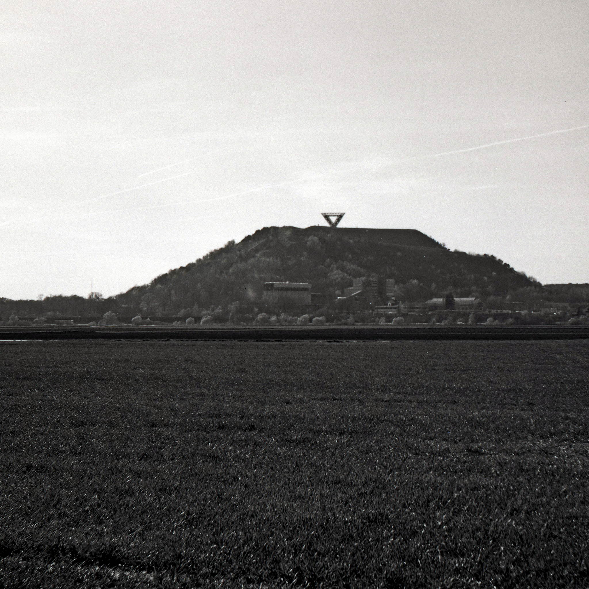 2017 03 30 seagull 203 04 33740955205 o