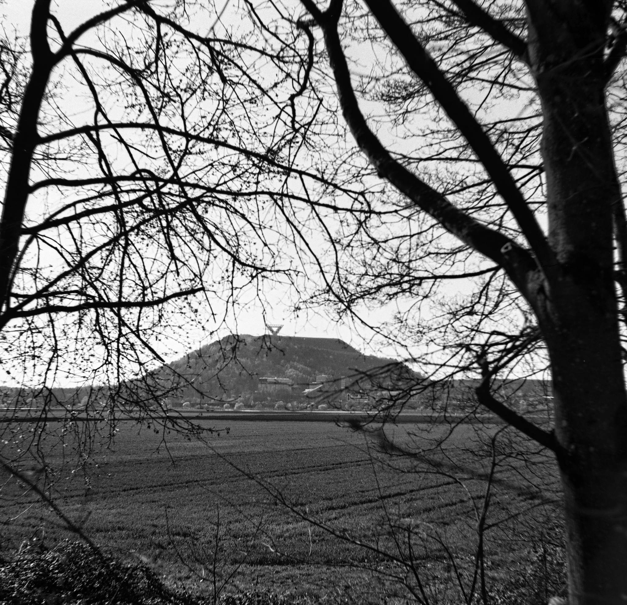 2017 03 30 seagull 203 05 32898020574 o