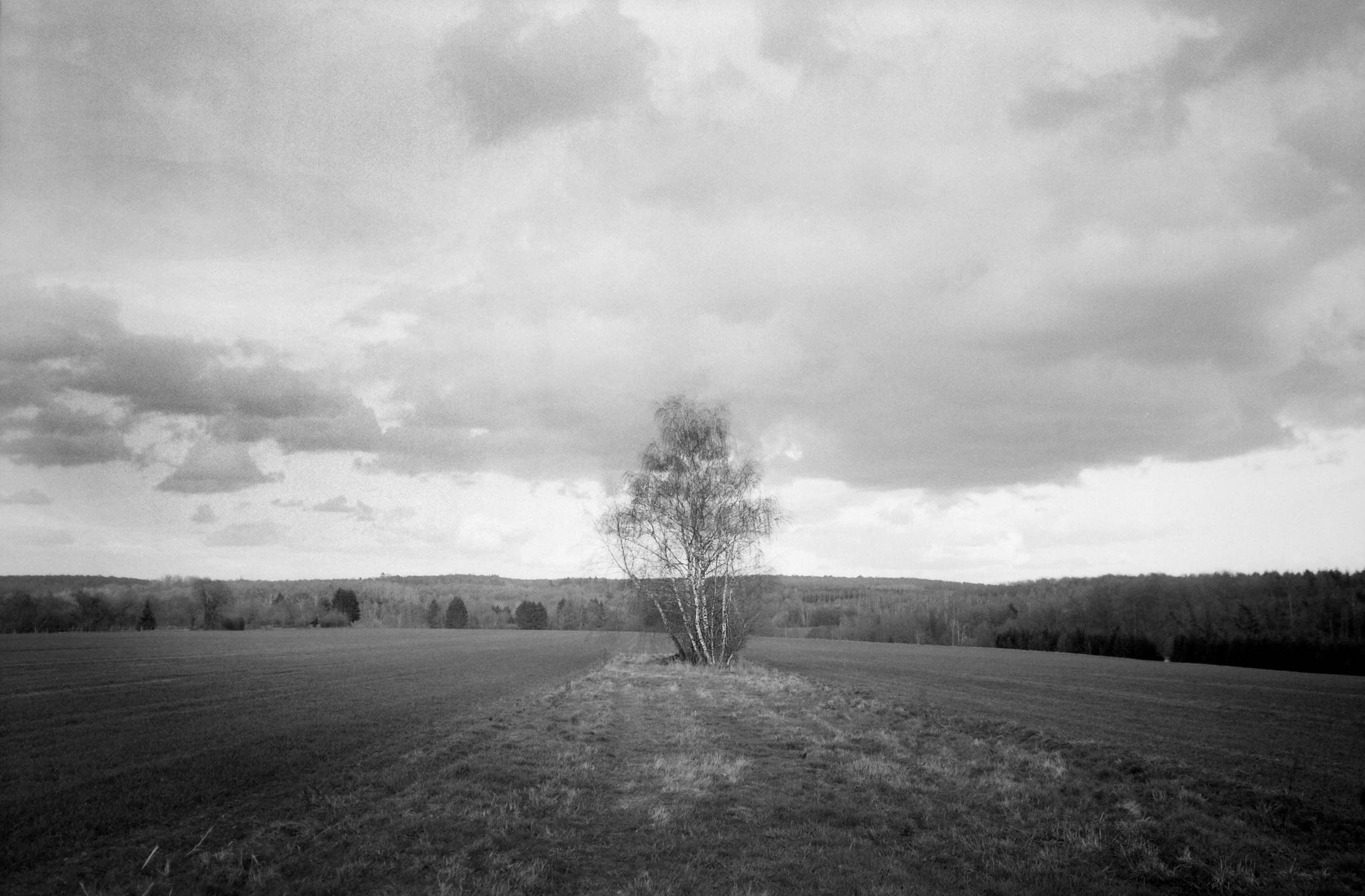 2019 03 08 leica m6 7artisans 28 ilford panf 32382819487 o