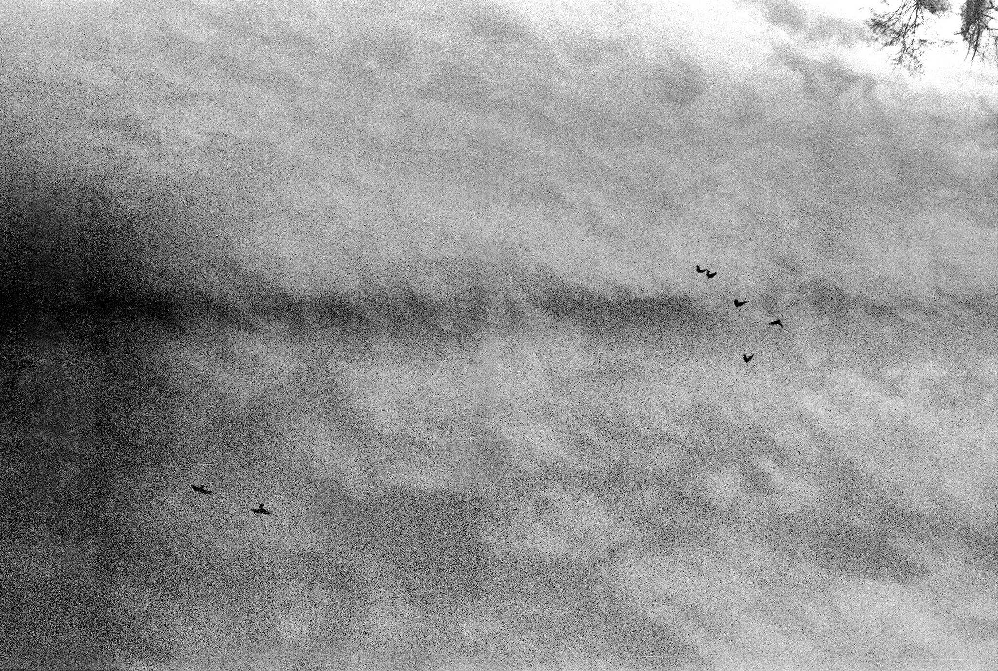 2023 02 23 0010 52708255367 o