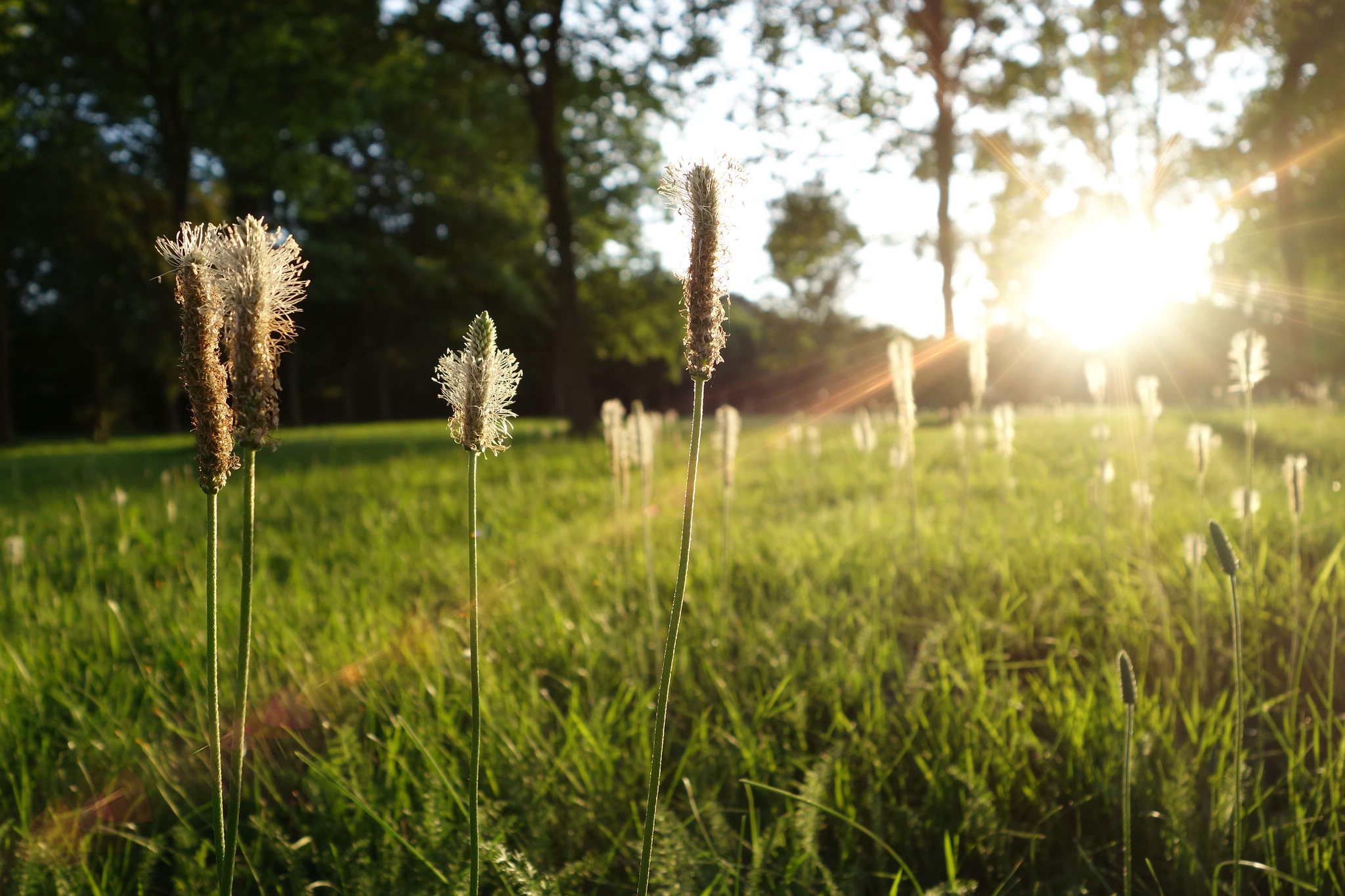 Am abend 14707112594 o