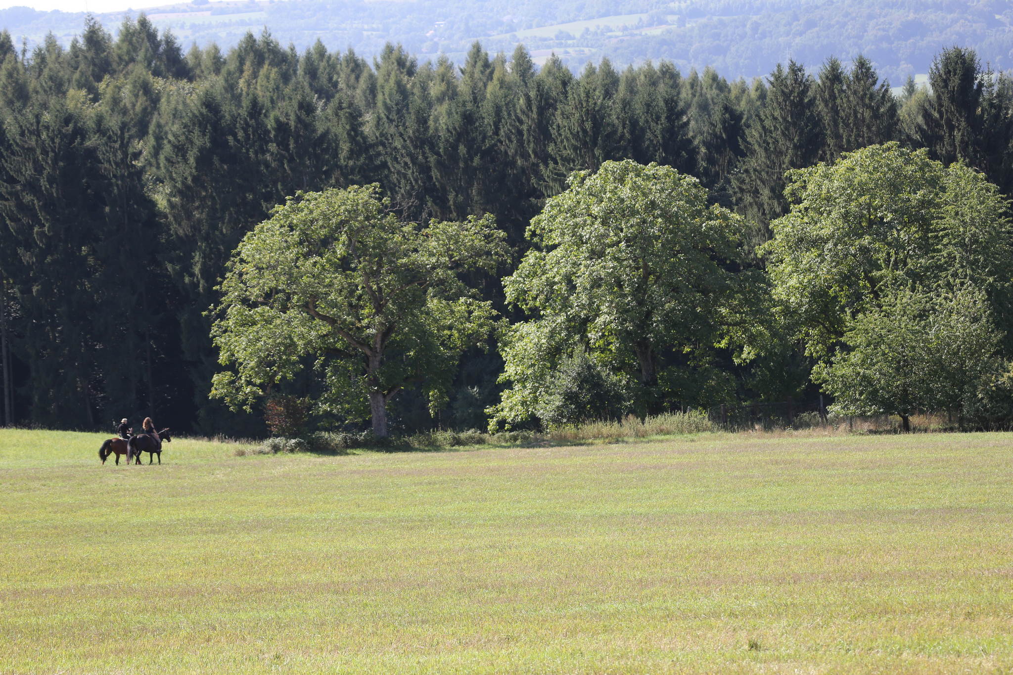 Am morgen 20391945634 o