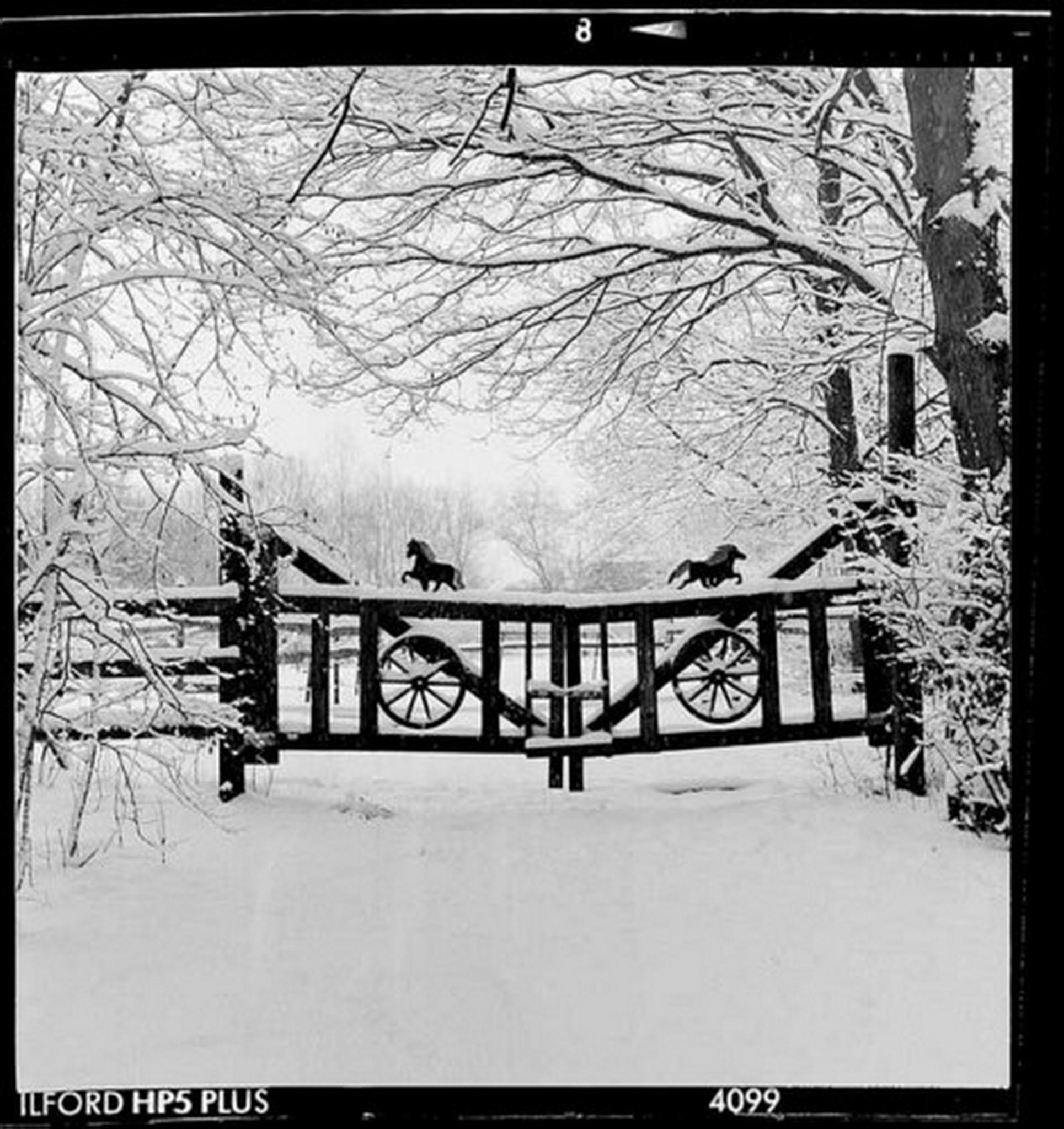 Back to the roots 6013693978 o